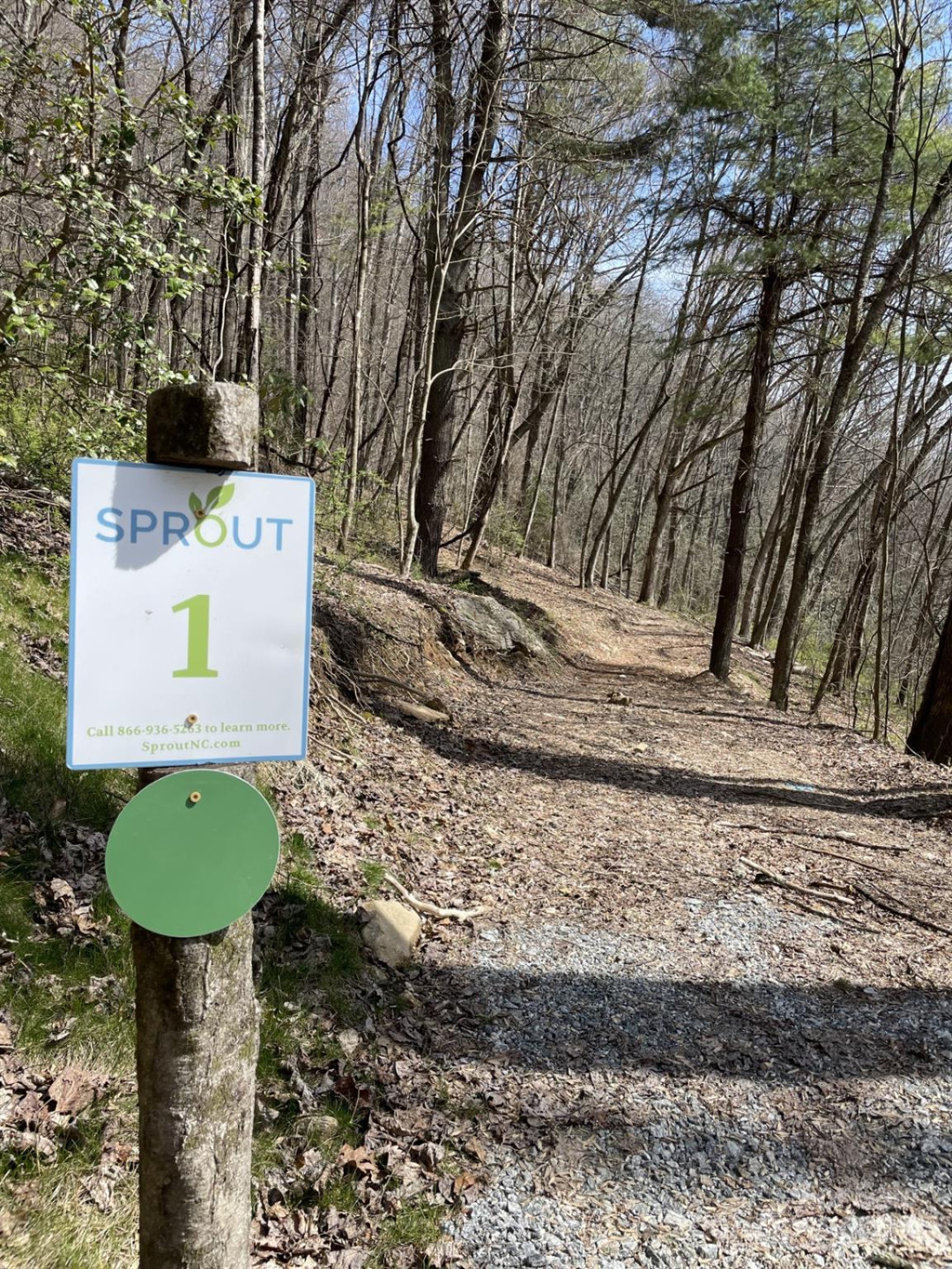 00000 New Sprout Lane #1 - Photo 4