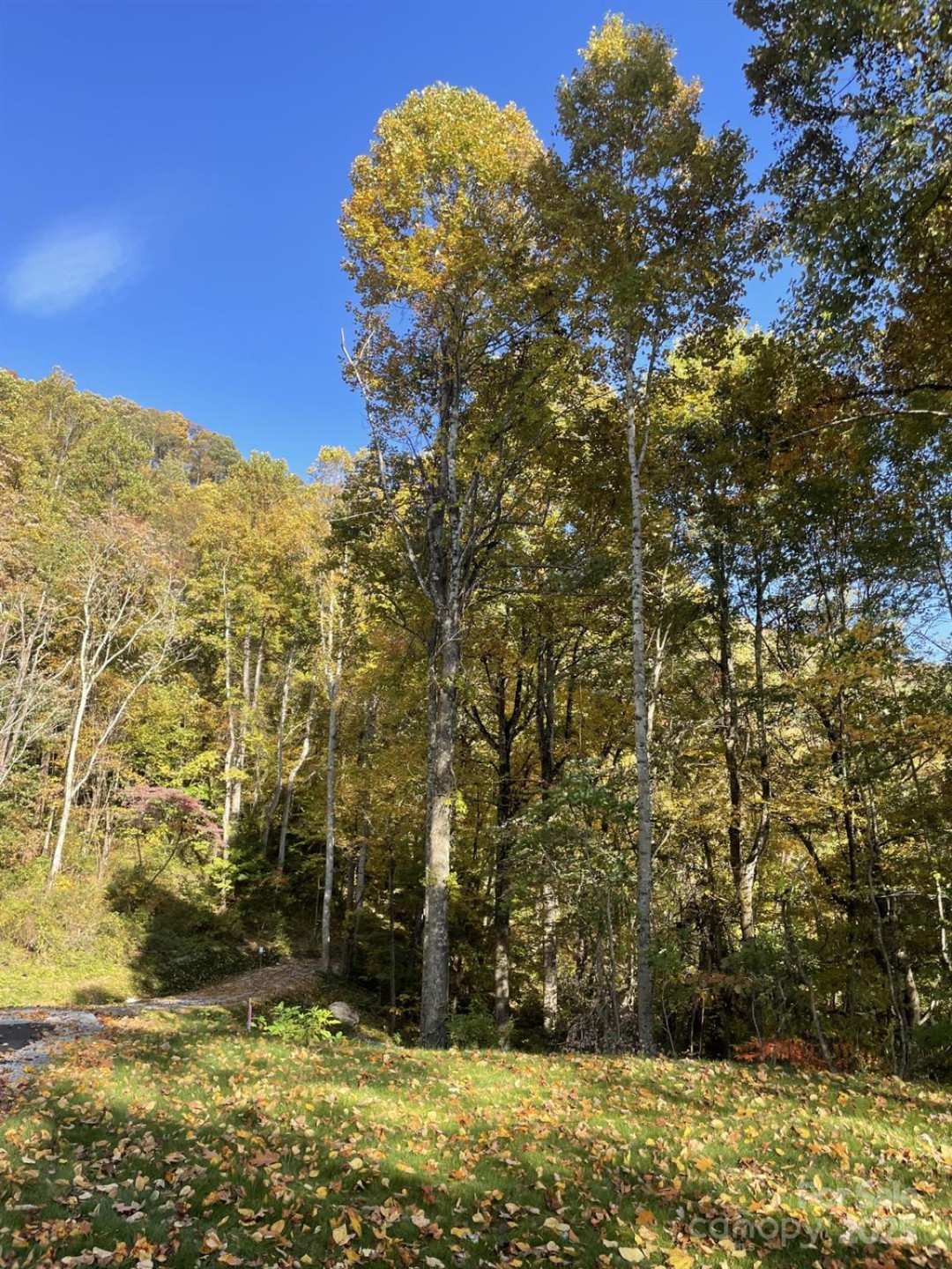 00000 New Sprout Lane #1 - Photo 5