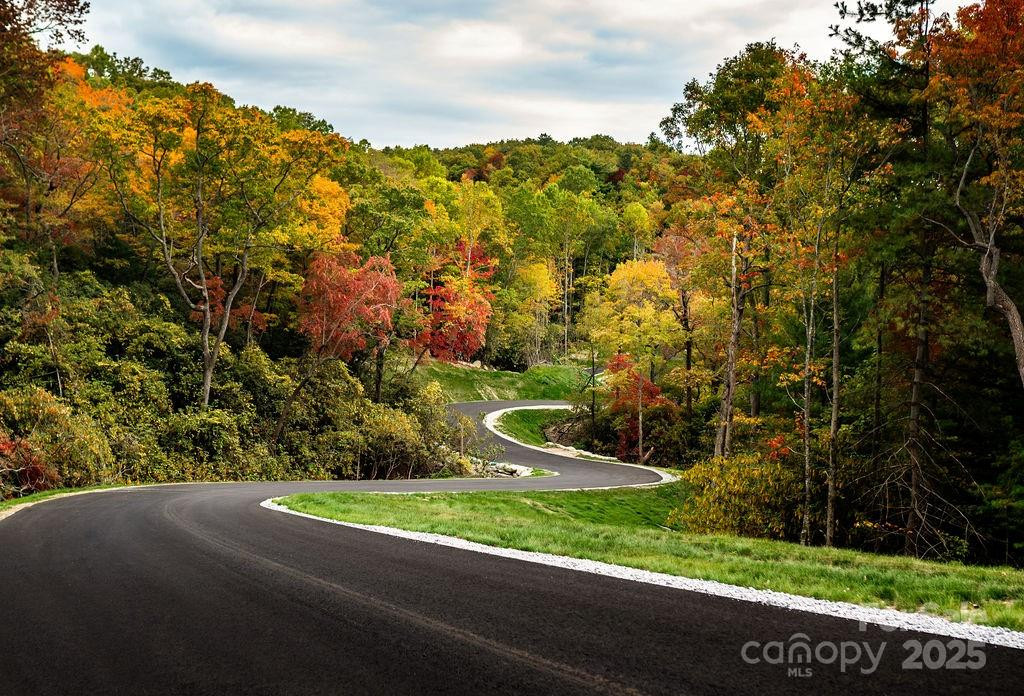 00000 New Sprout Lane #1 - Photo 6