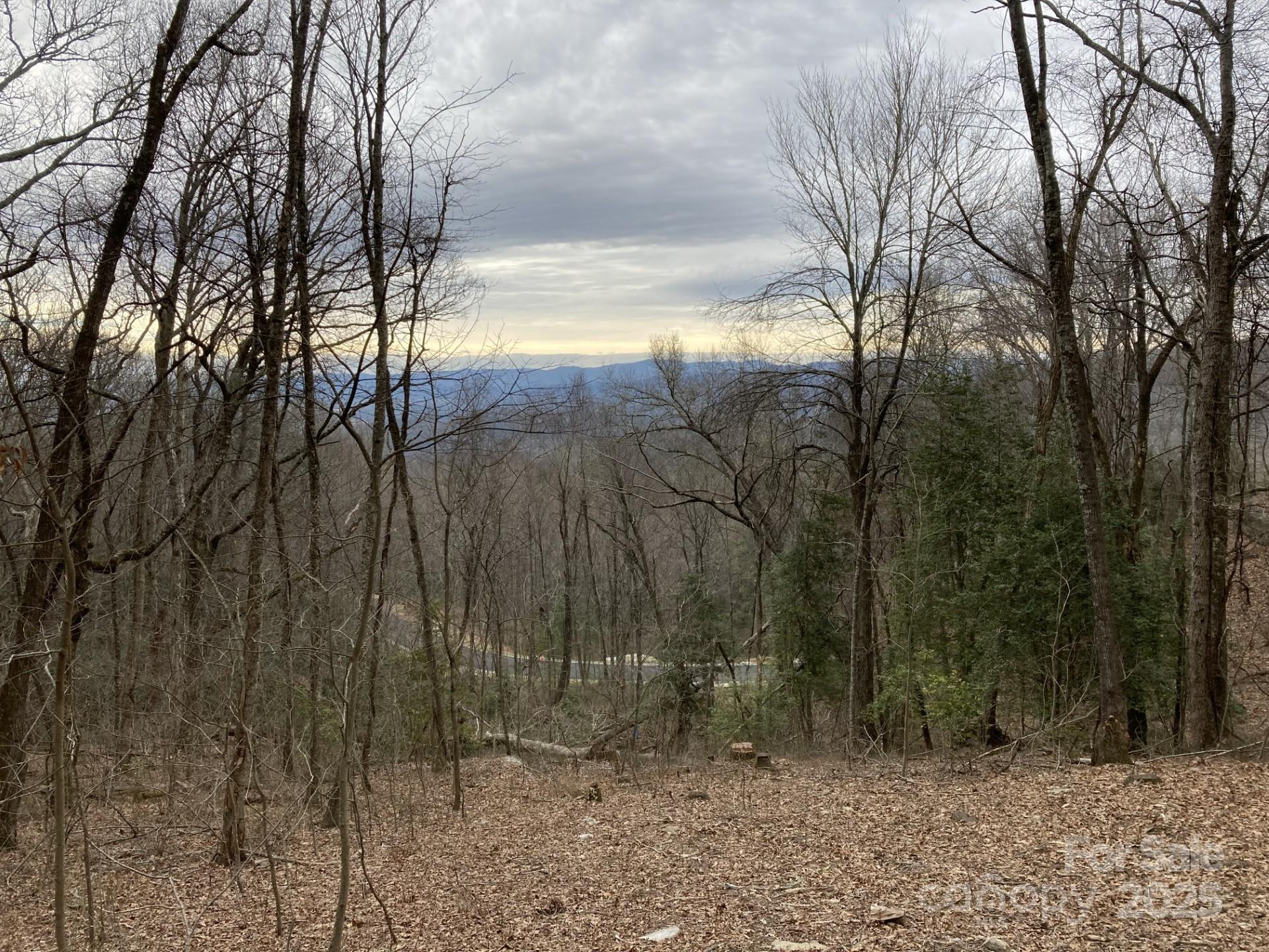 00000 New Sprout Lane #1 - Photo 9