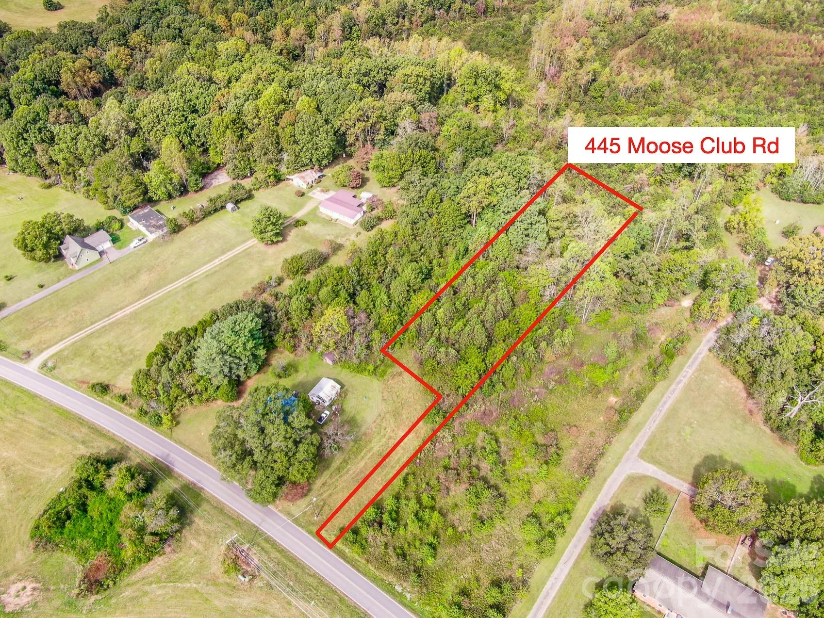 445 Moose Club Road - Photo 4