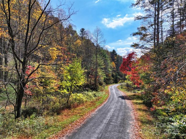 366 Renfro Road, Green Mountain, NC, 28740