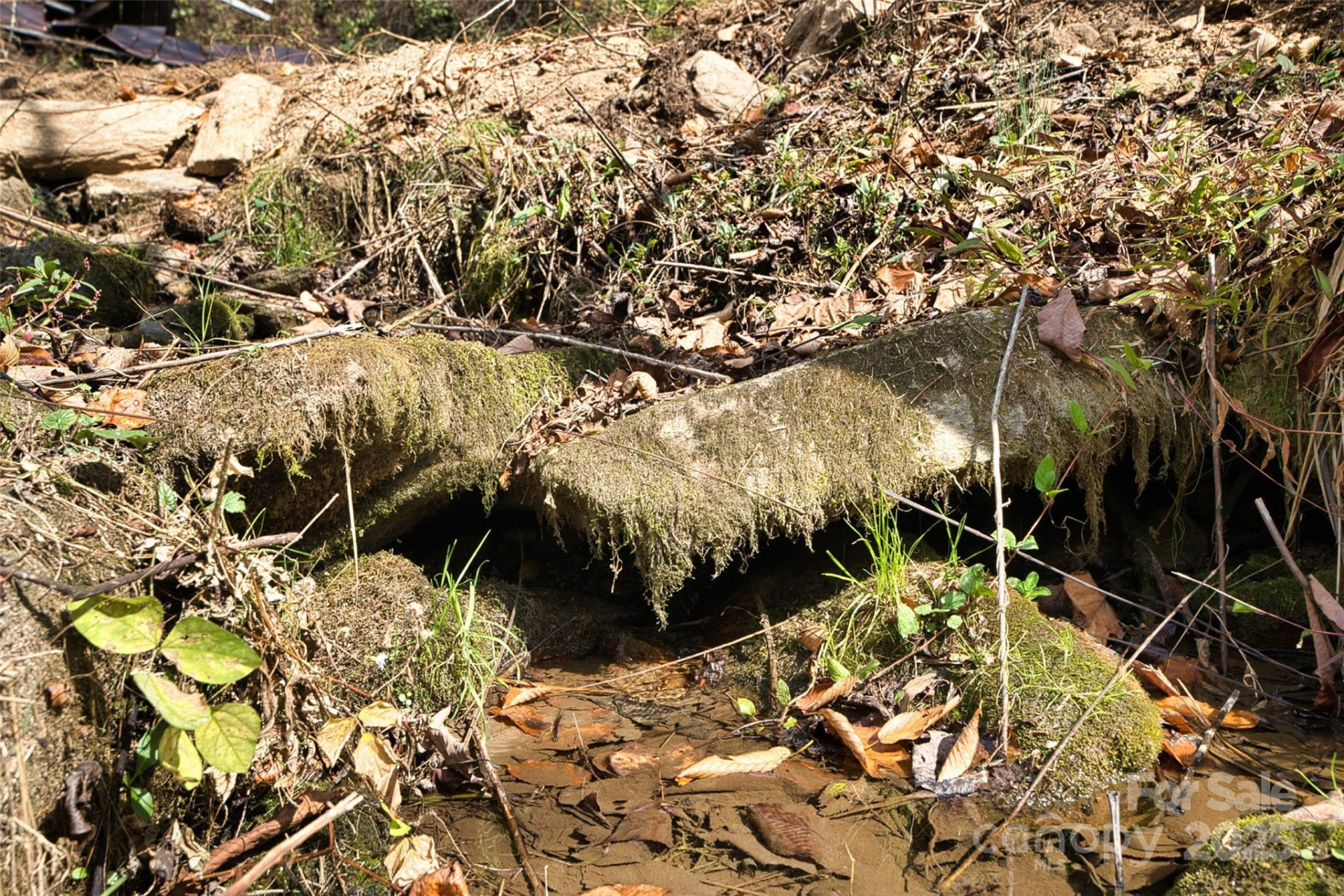 366 Renfro Road - Photo 13