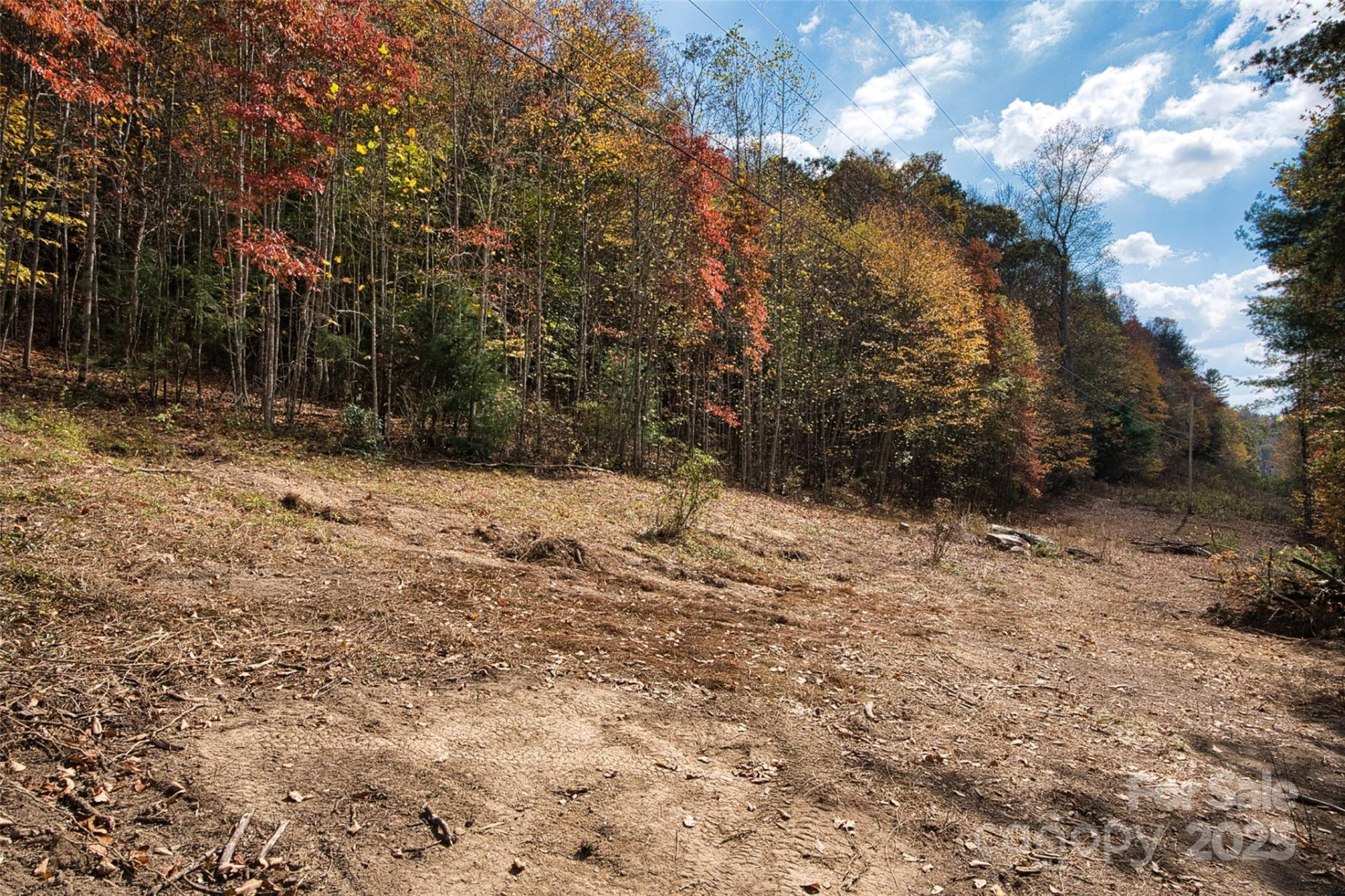 366 Renfro Road - Photo 14