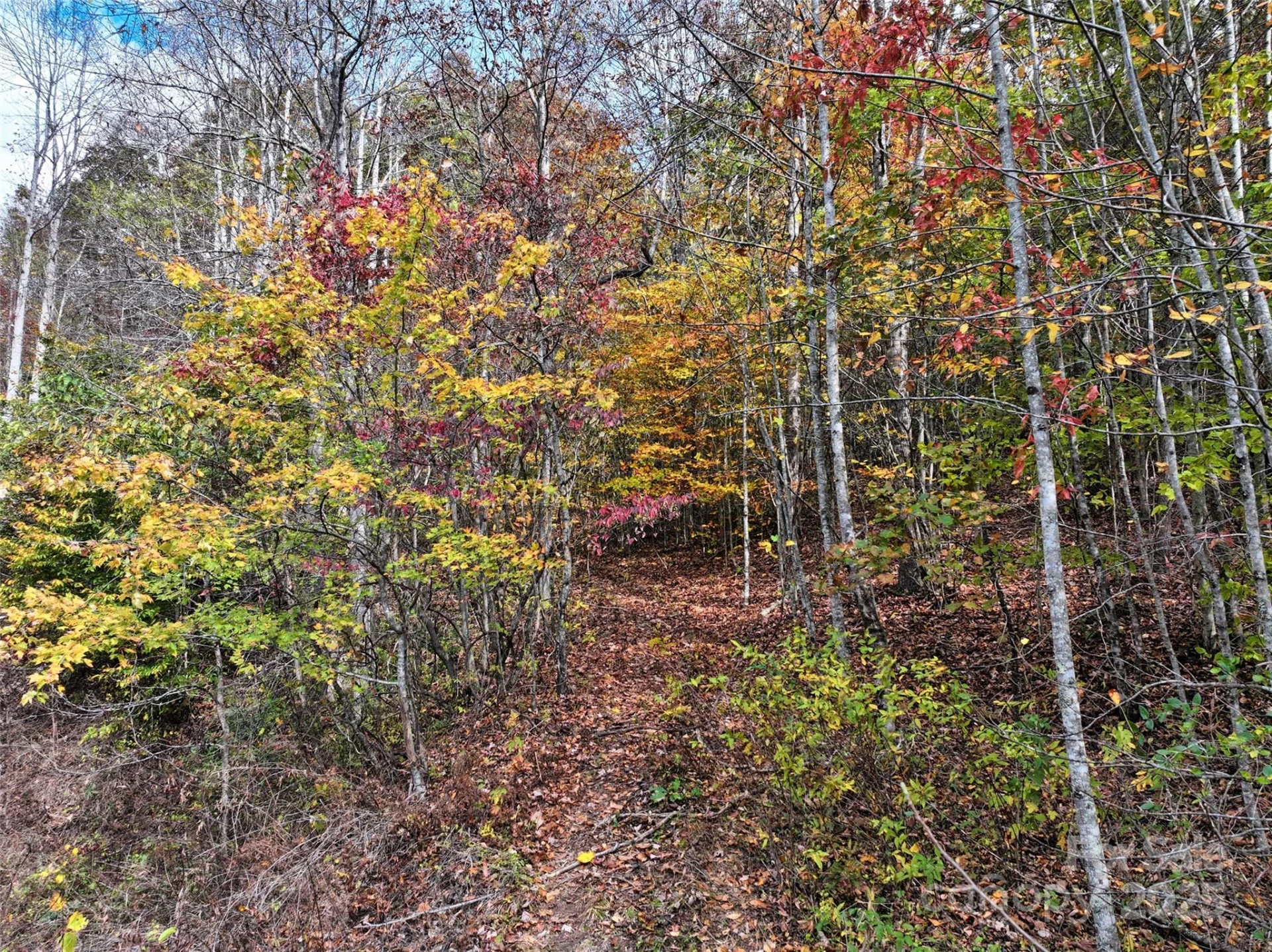 366 Renfro Road - Photo 16