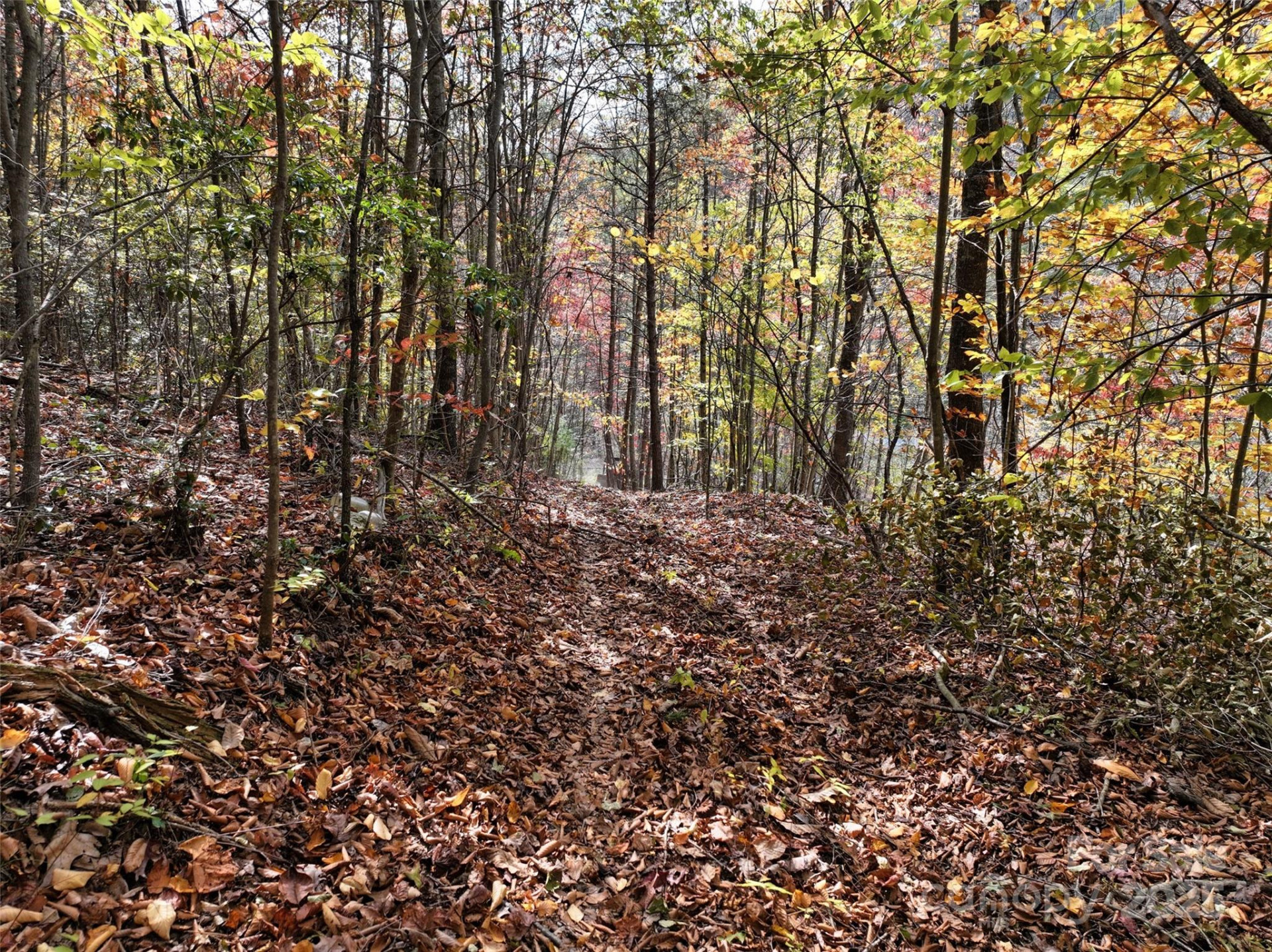 366 Renfro Road - Photo 17