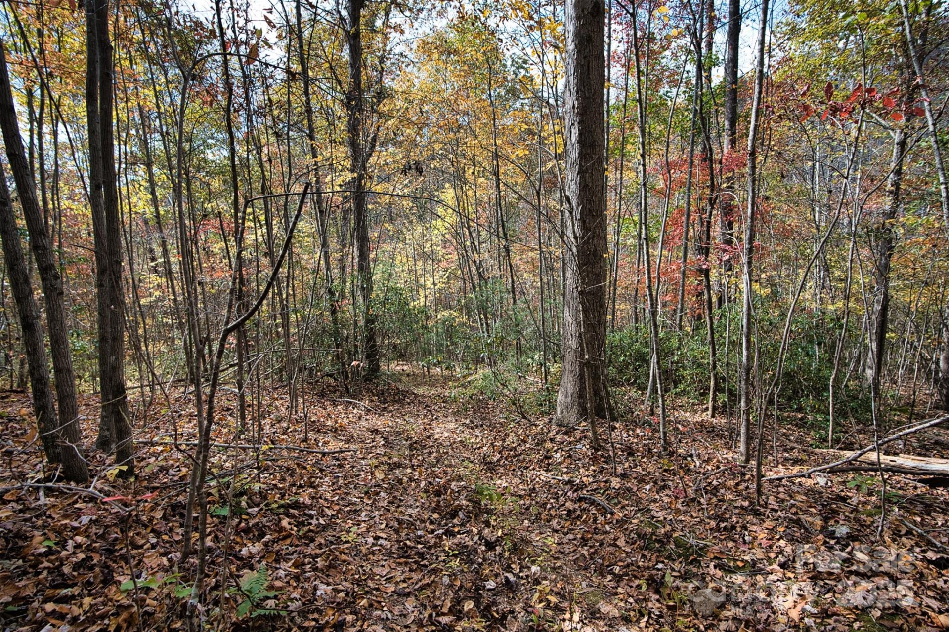 366 Renfro Road - Photo 18