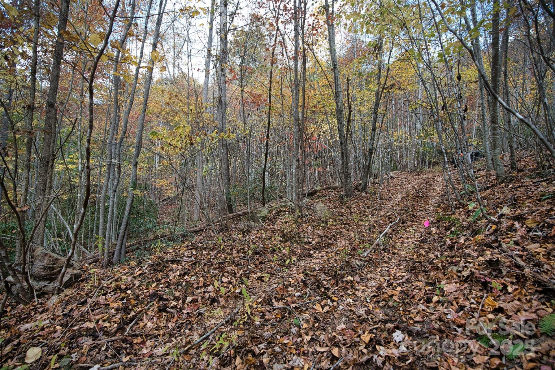 366 Renfro Road - Photo 19