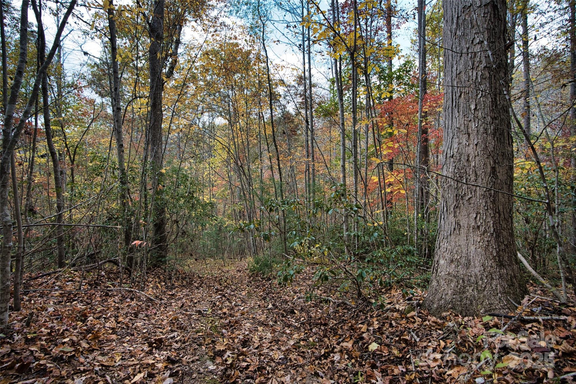 366 Renfro Road - Photo 20