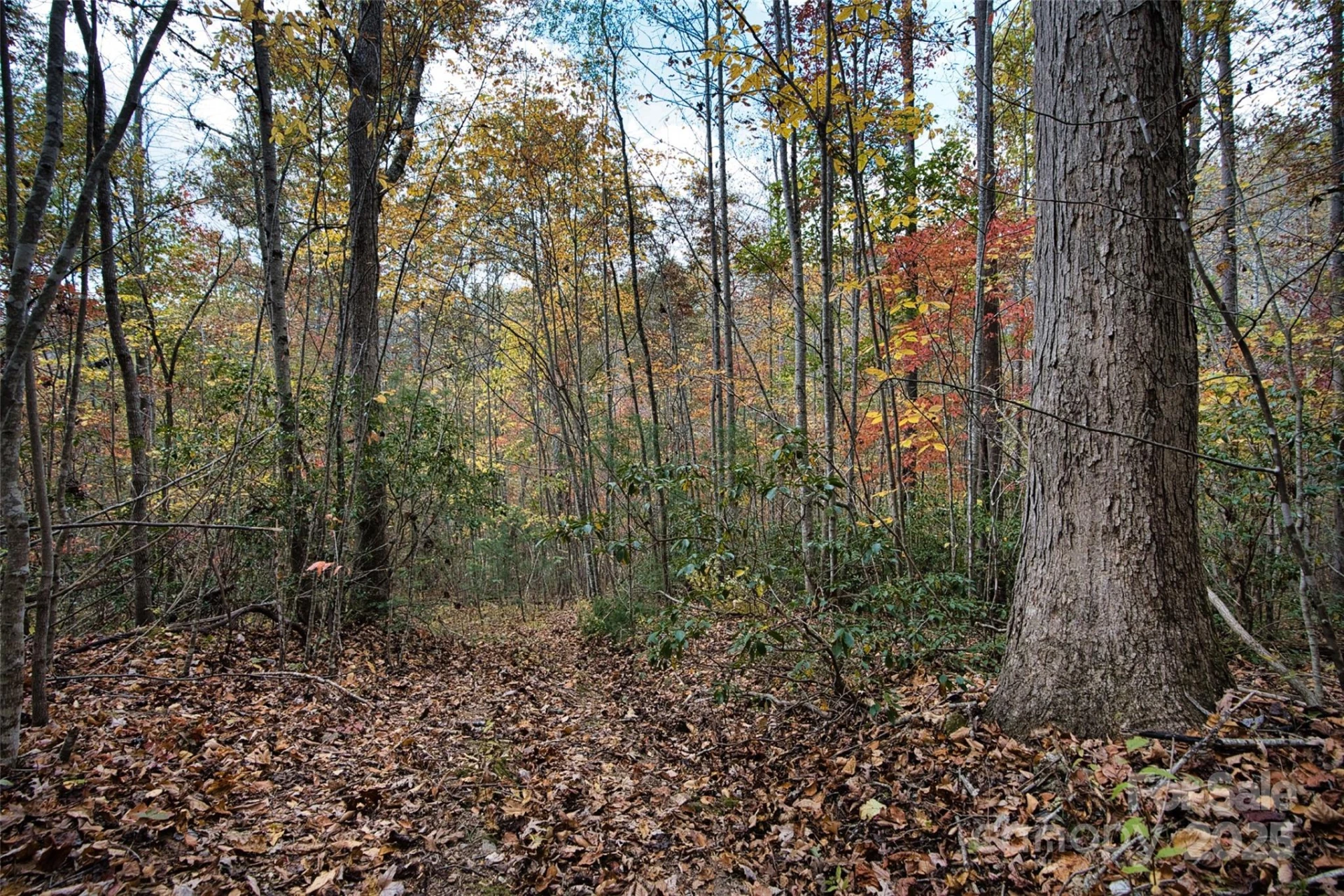 366 Renfro Road - Photo 20