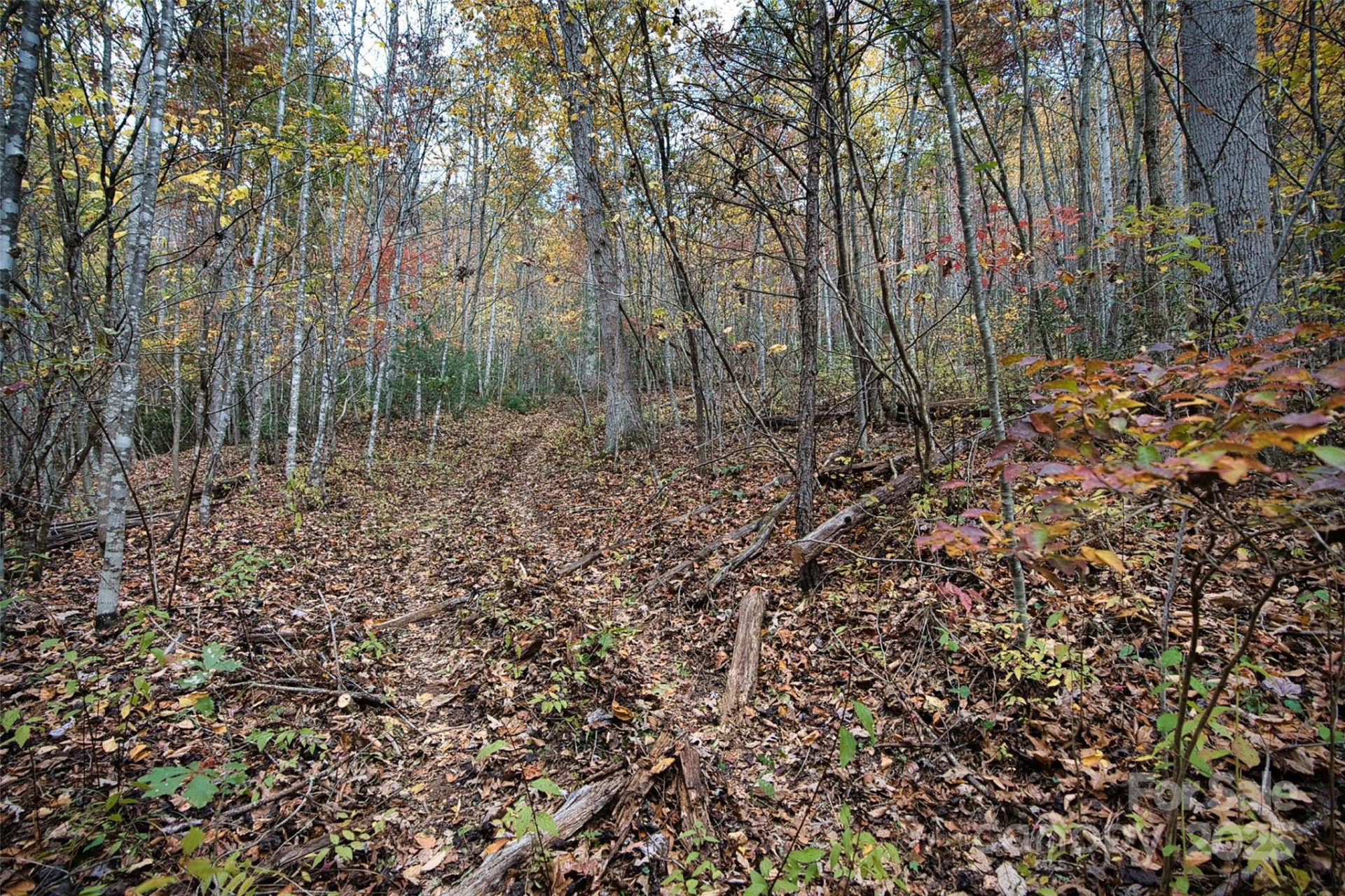 366 Renfro Road - Photo 21