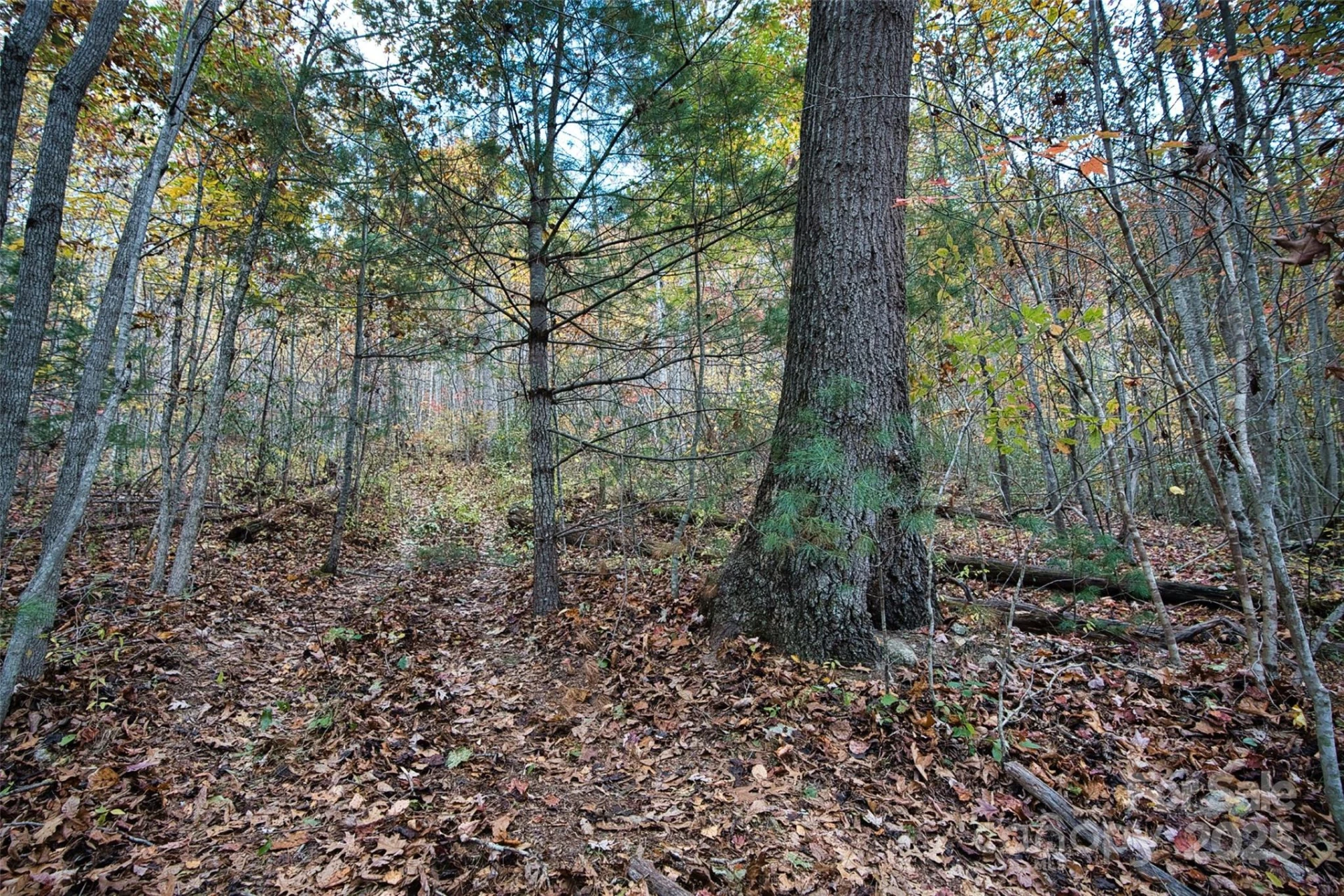 366 Renfro Road - Photo 22