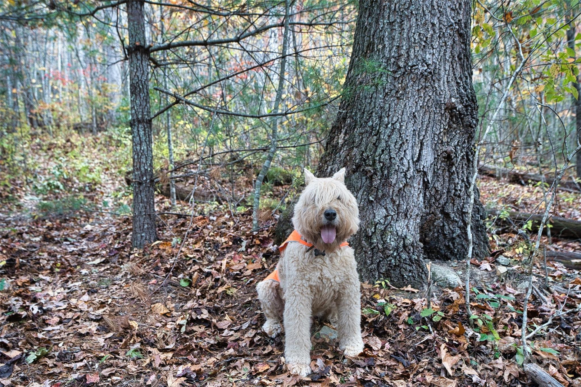 366 Renfro Road - Photo 23