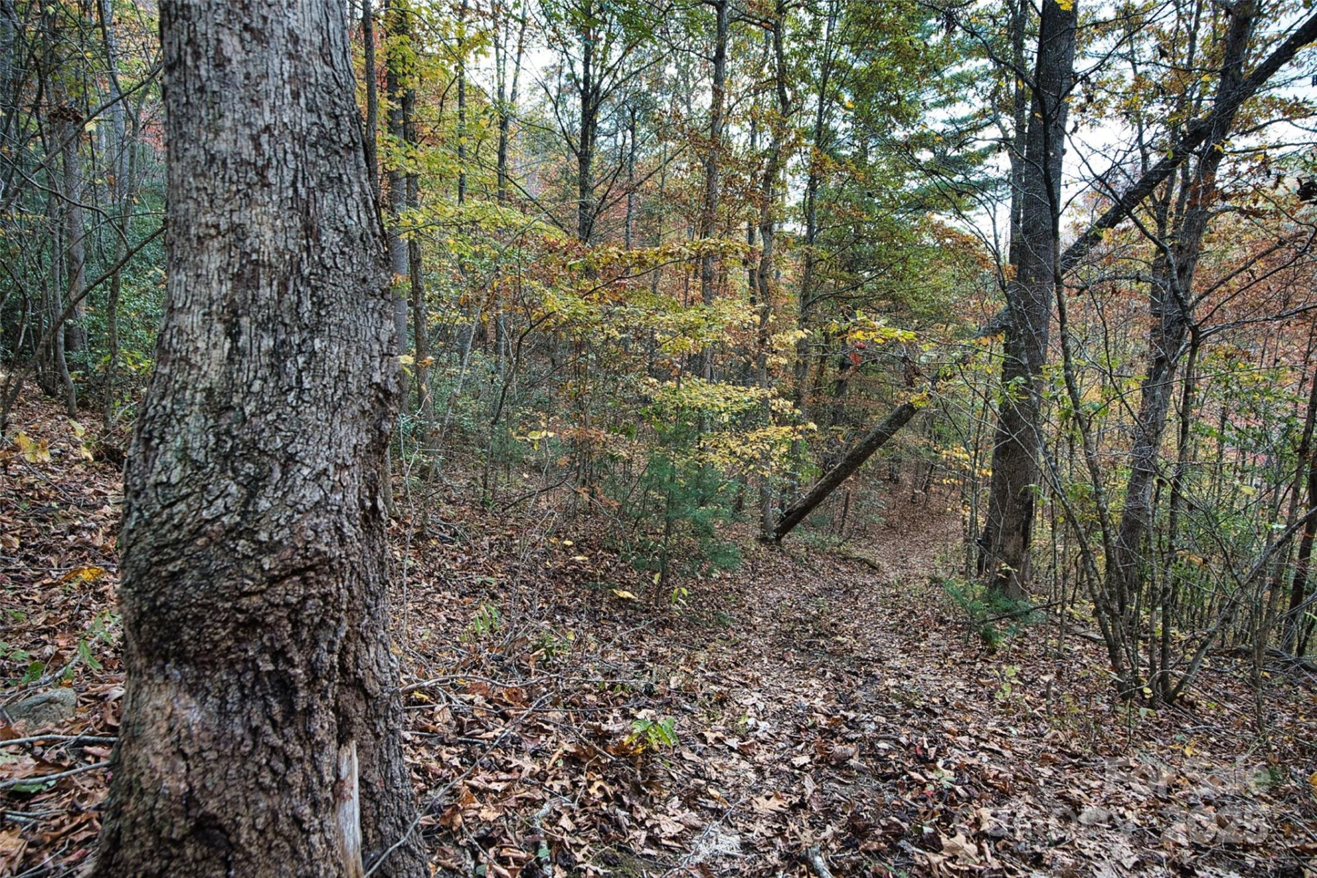 366 Renfro Road - Photo 24