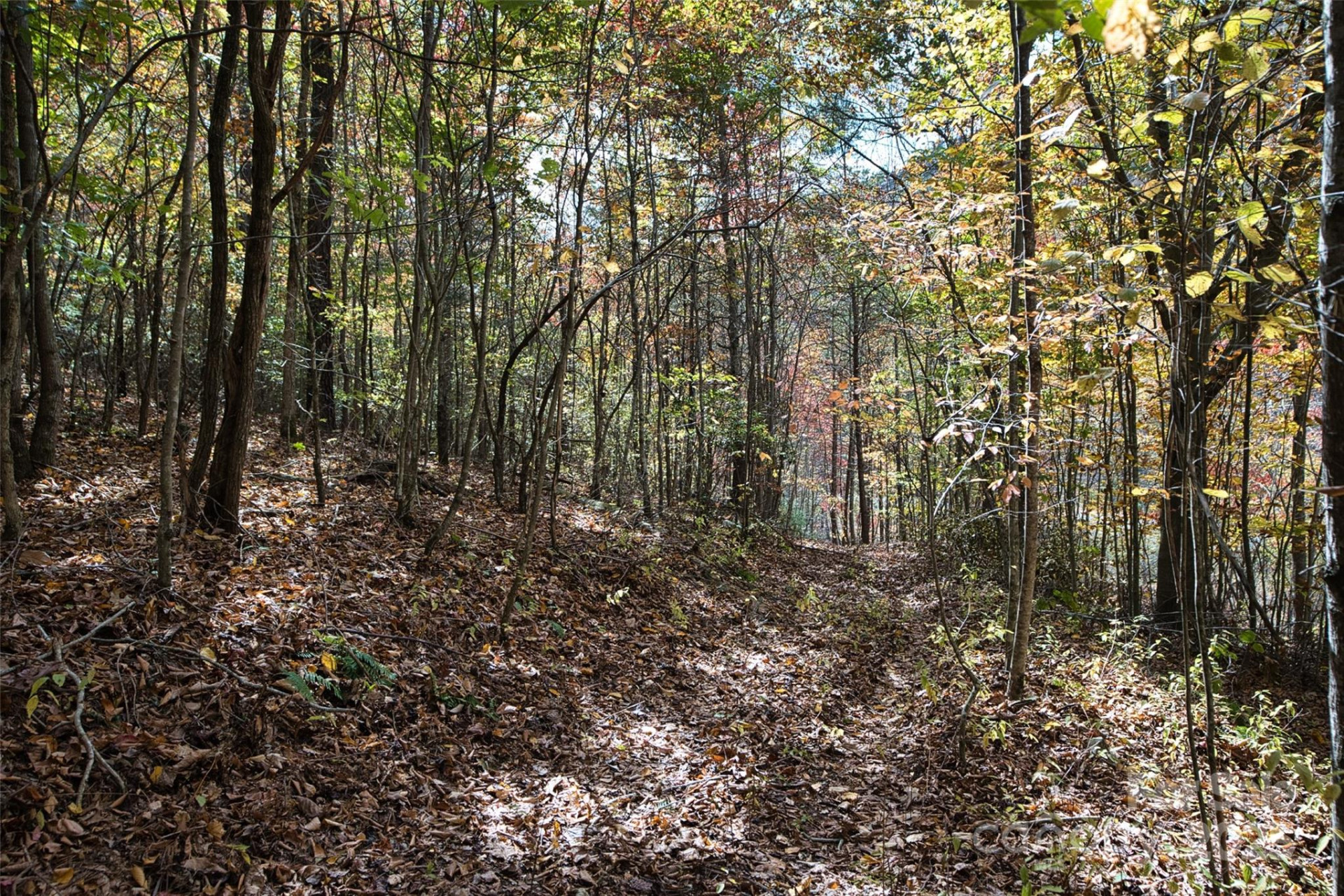 366 Renfro Road - Photo 25