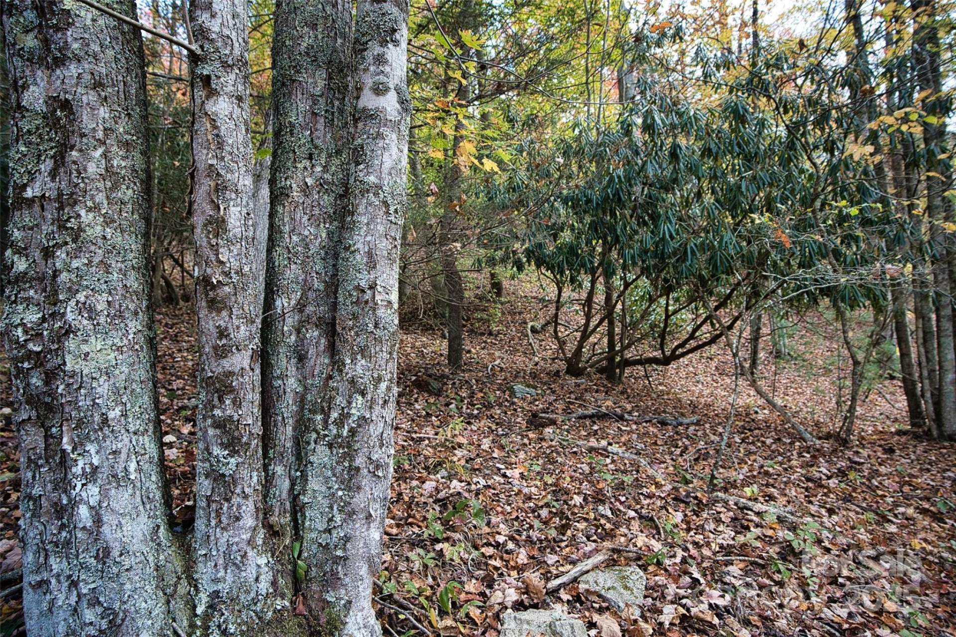 366 Renfro Road - Photo 26