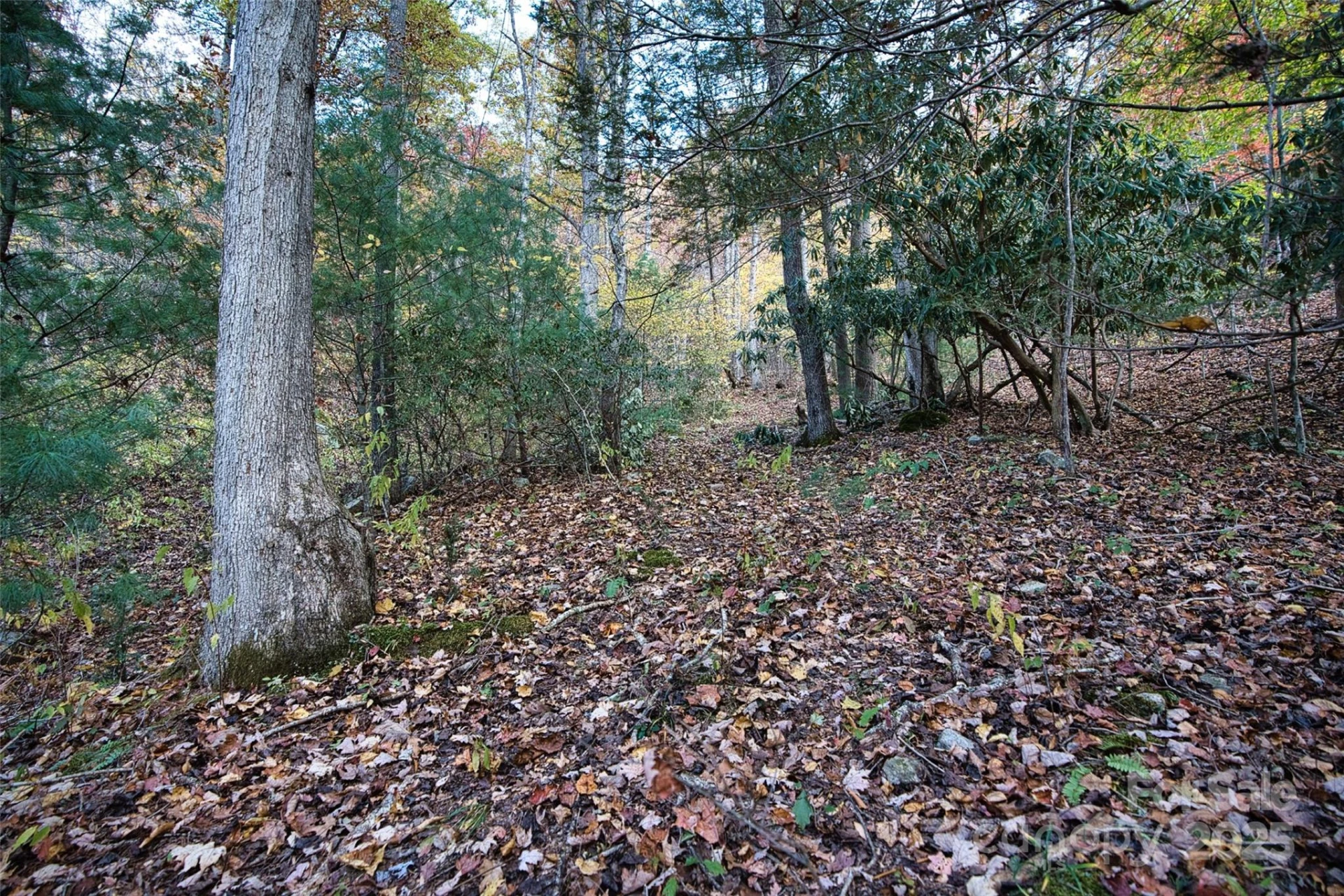 366 Renfro Road - Photo 27