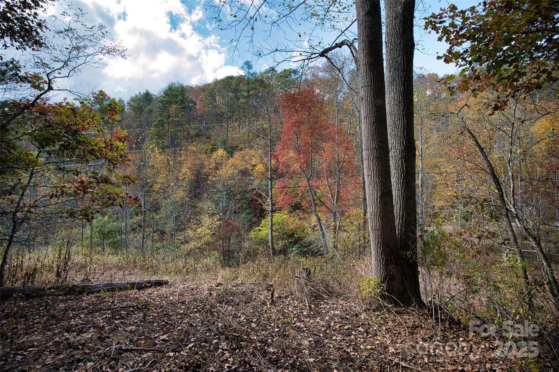 366 Renfro Road - Photo 28