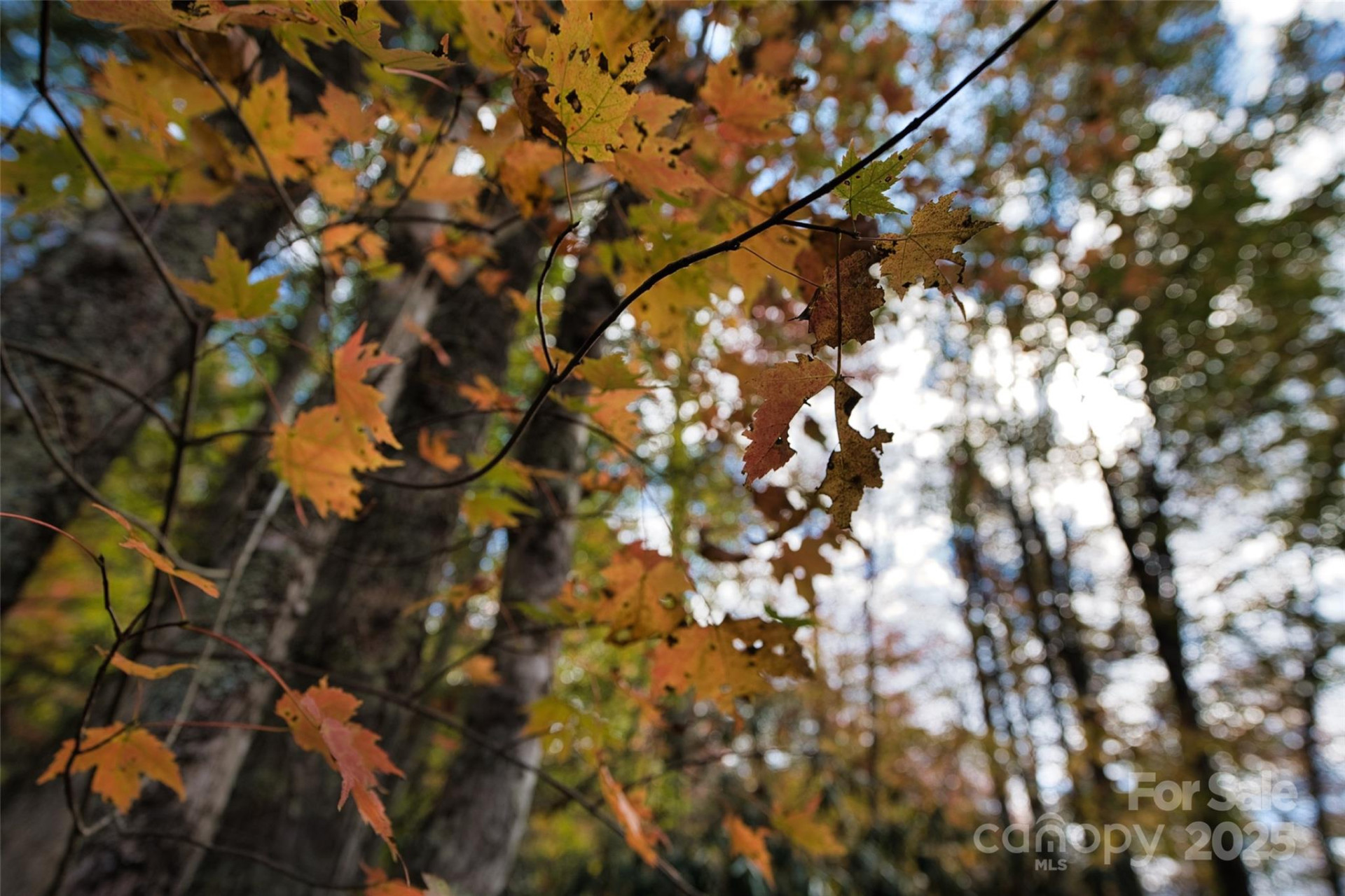 366 Renfro Road - Photo 30