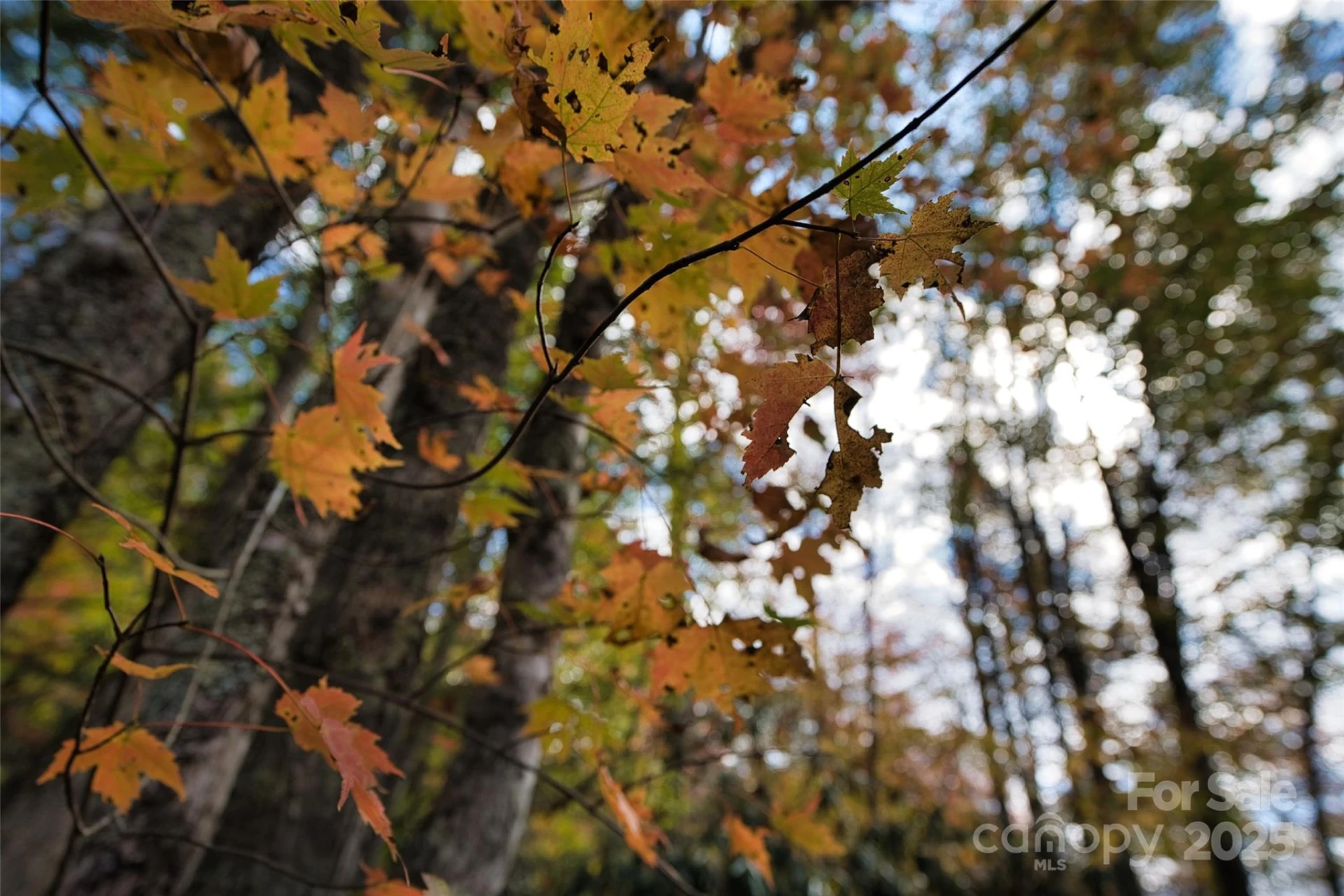 366 Renfro Road - Photo 30