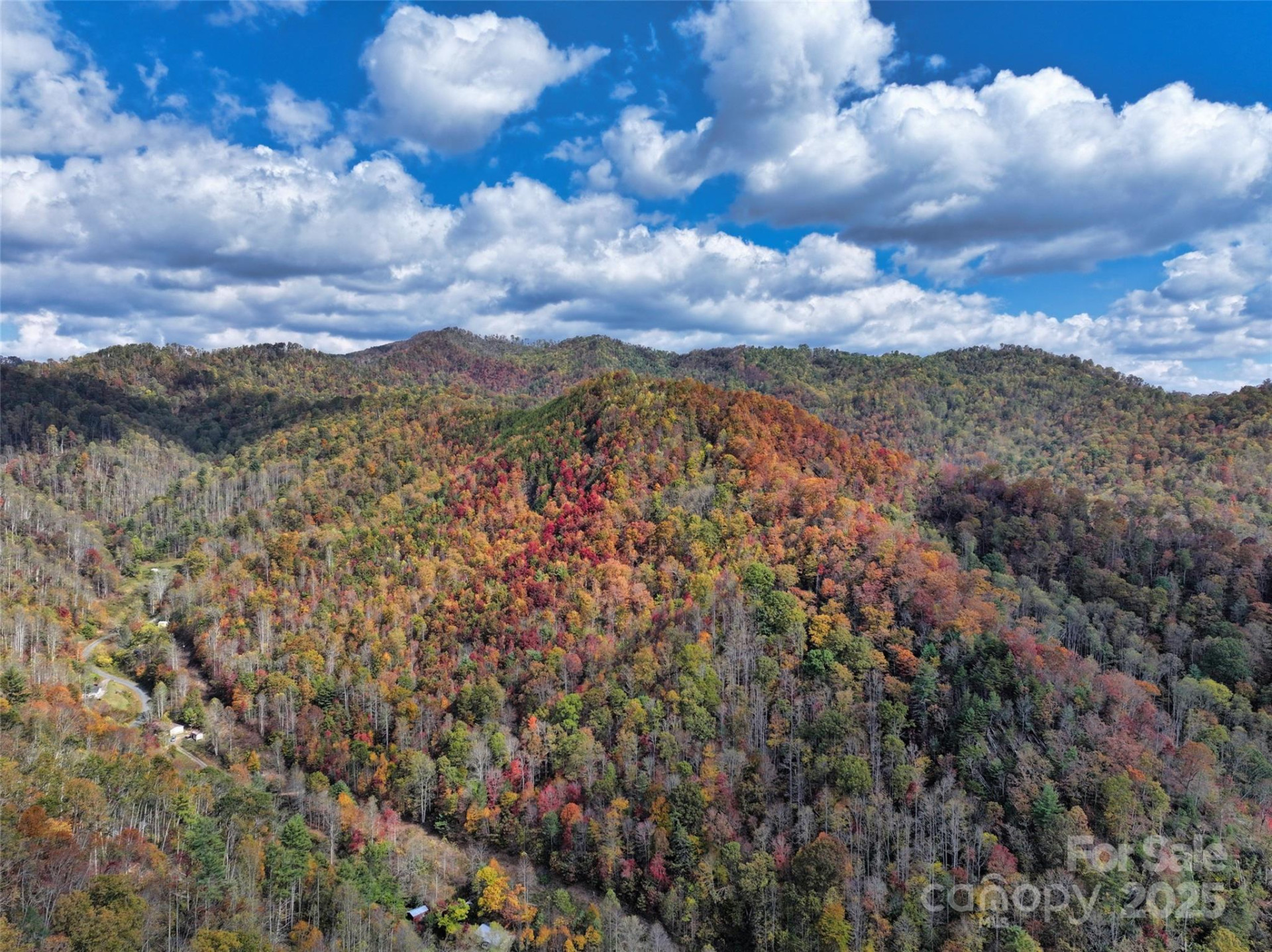 366 Renfro Road - Photo 4