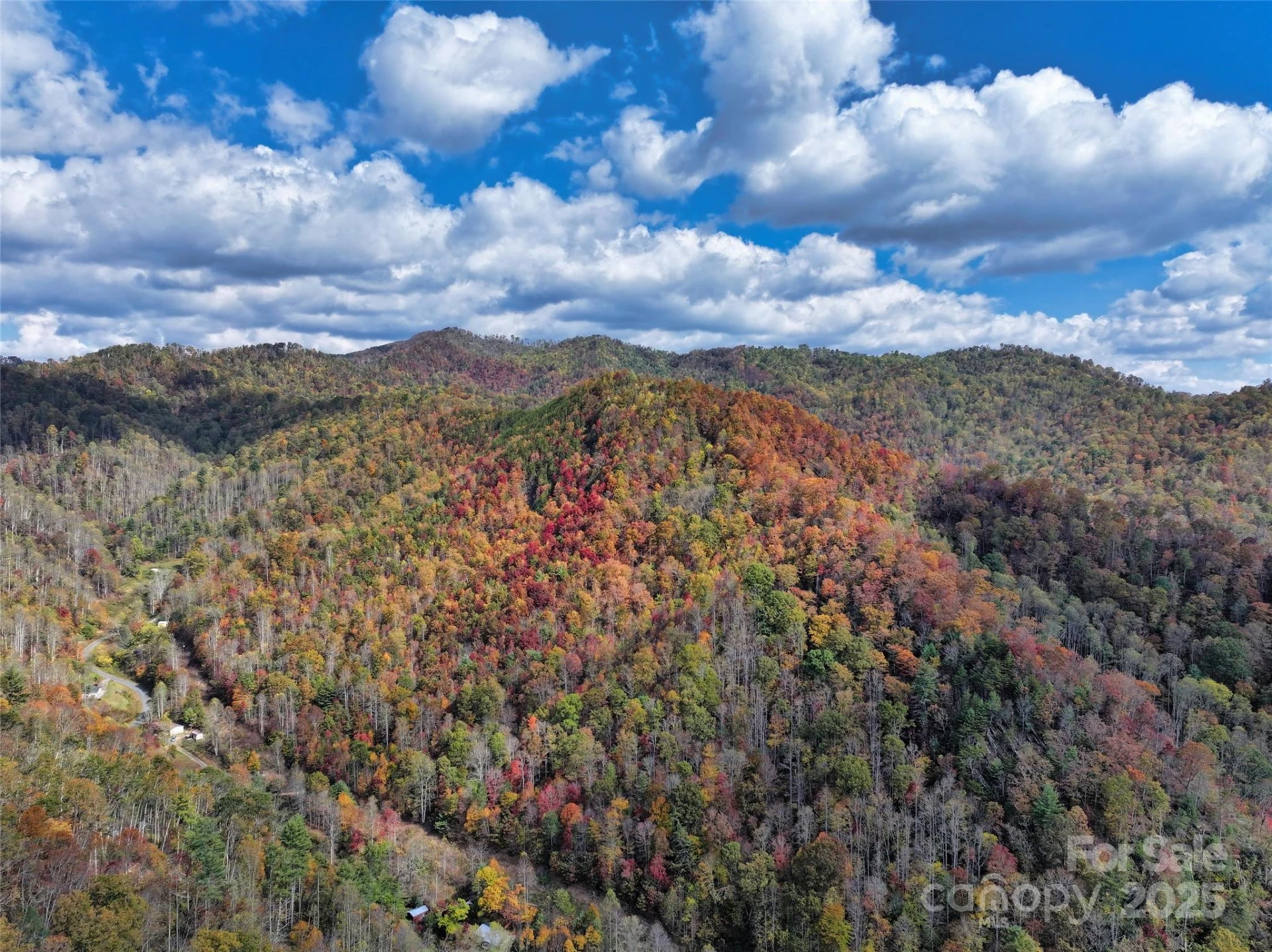 366 Renfro Road - Photo 4