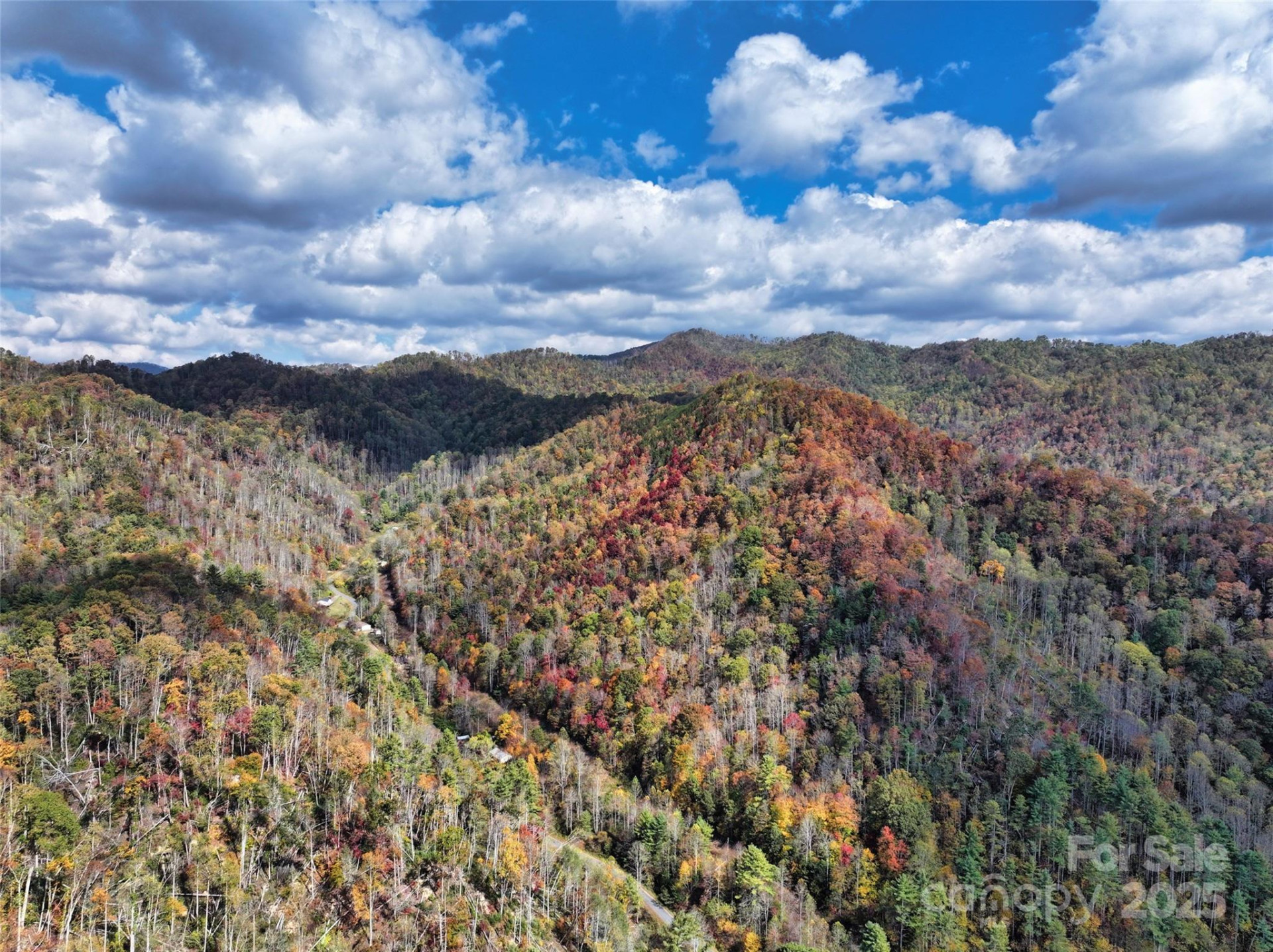 366 Renfro Road - Photo 5