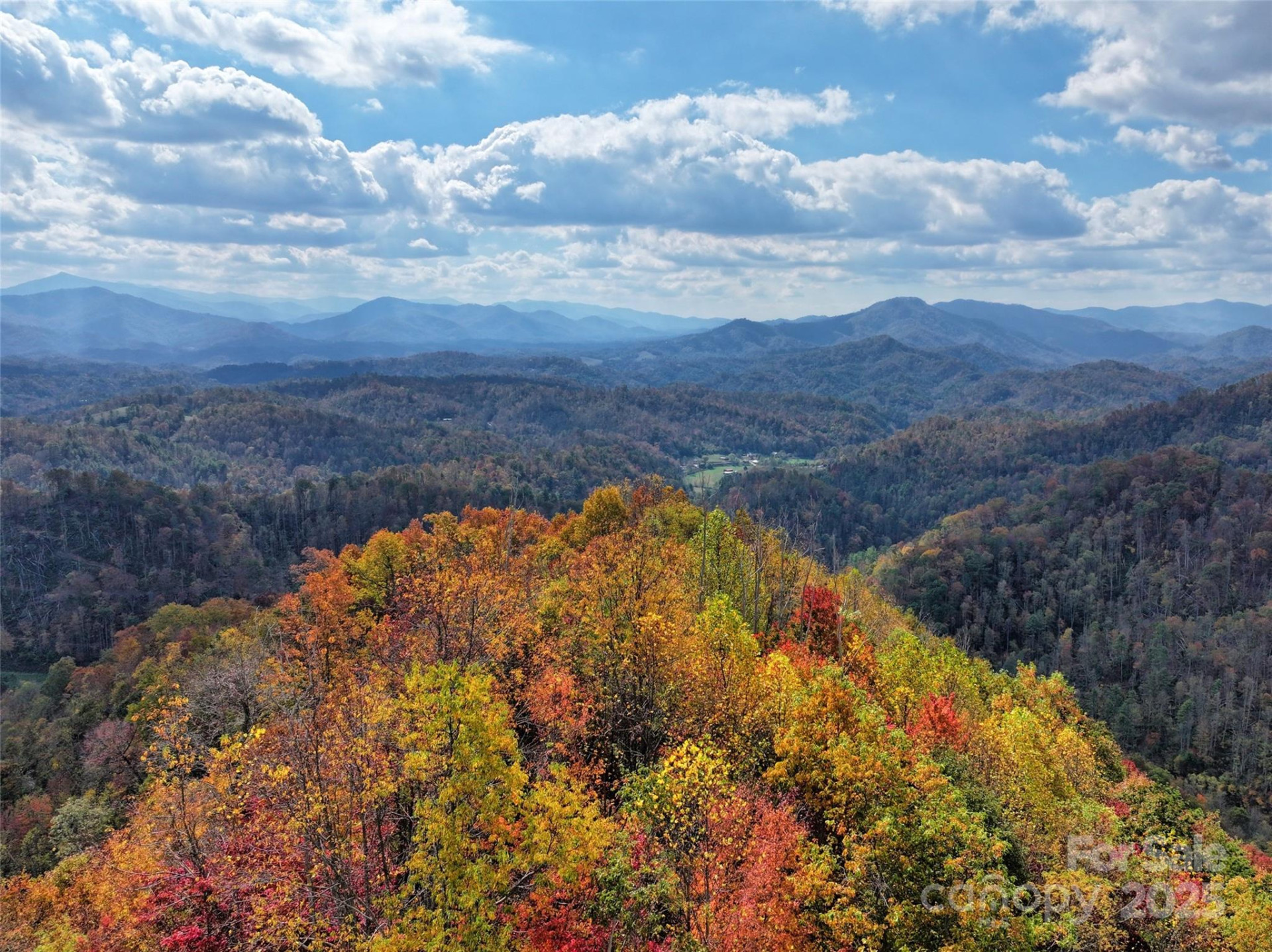 366 Renfro Road - Photo 6