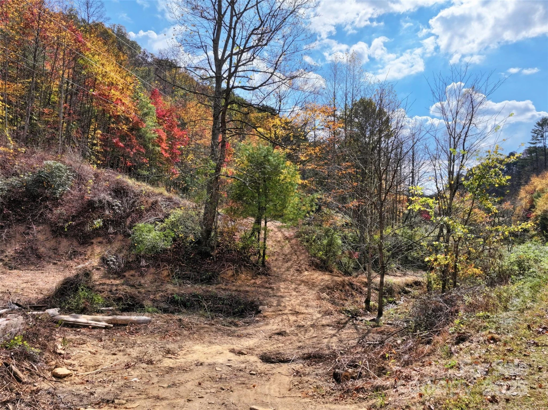 366 Renfro Road - Photo 9
