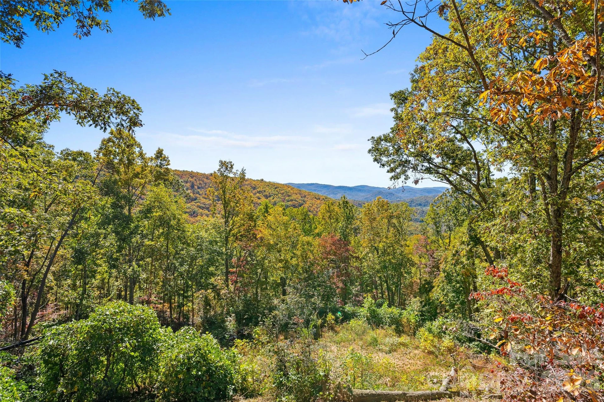 310 Log Gap Road - Photo 46