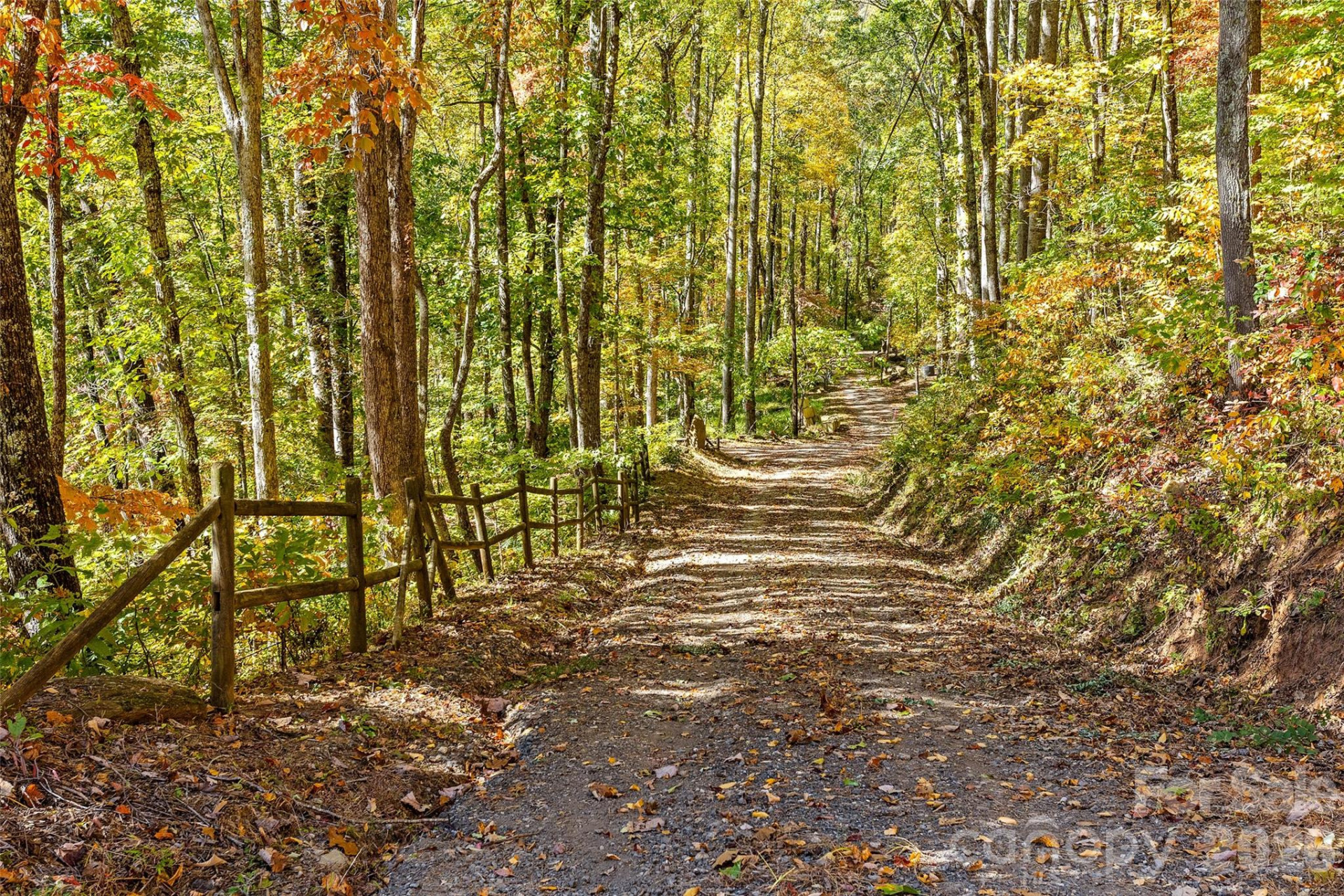 310 Log Gap Road - Photo 7