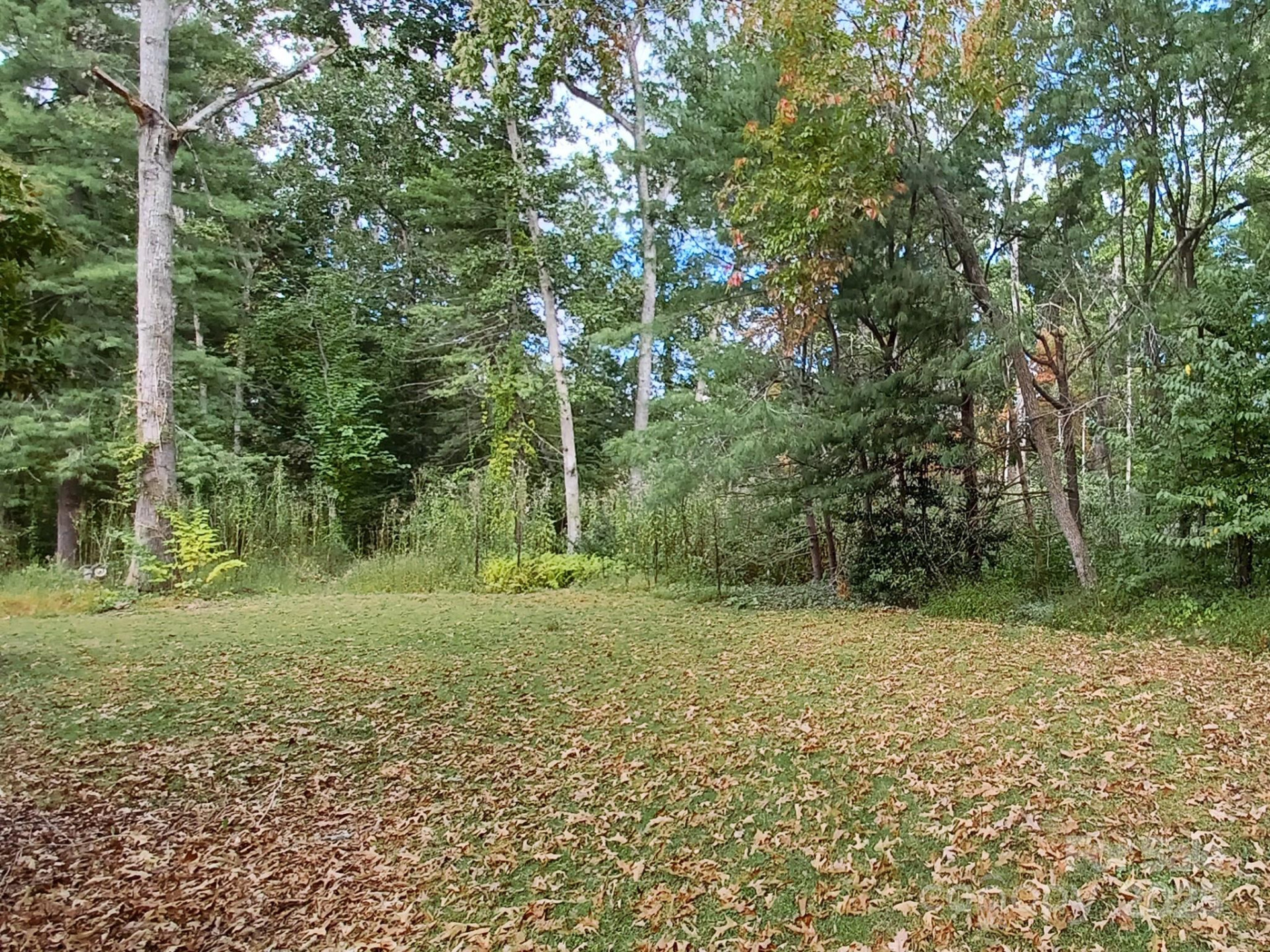 3204 Hickory Hill Road - Photo 20
