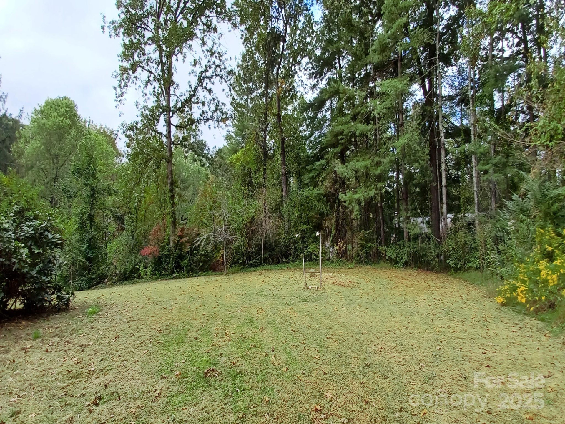 3204 Hickory Hill Road - Photo 28