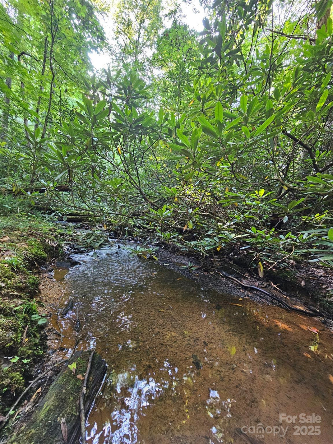 0000 Happy Acres Road - Photo 2