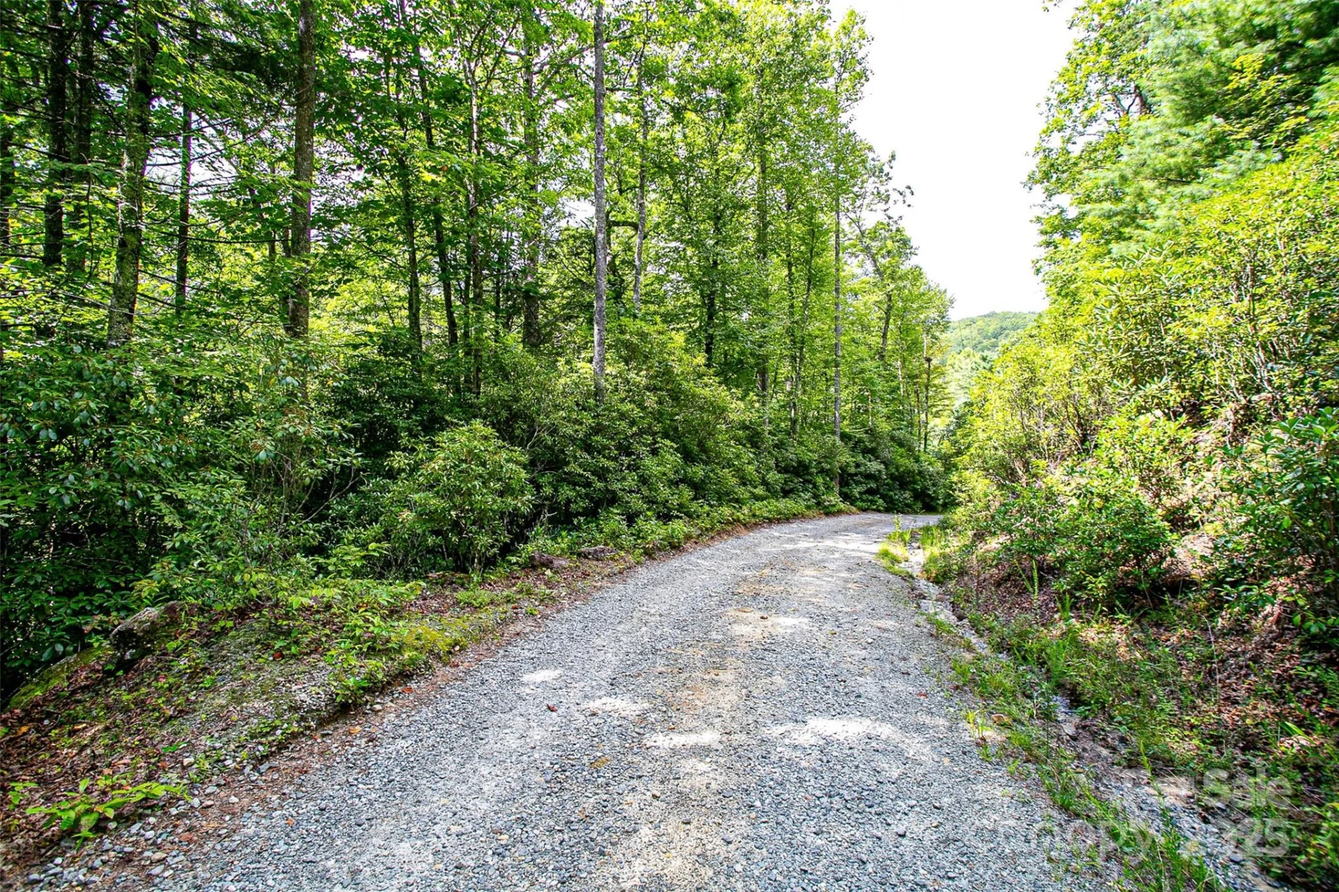 0000 Happy Acres Road - Photo 13