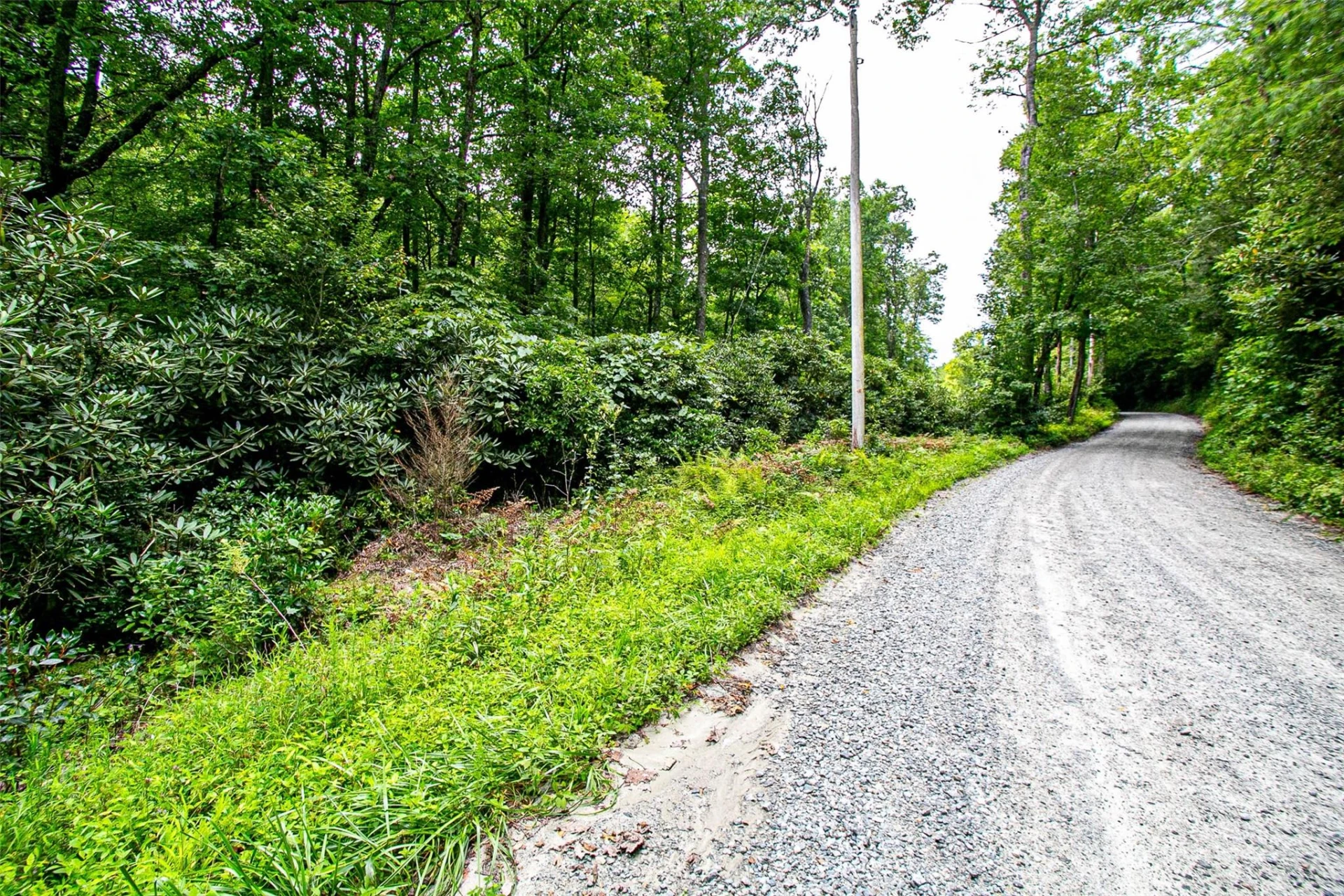 0000 Happy Acres Road - Photo 3