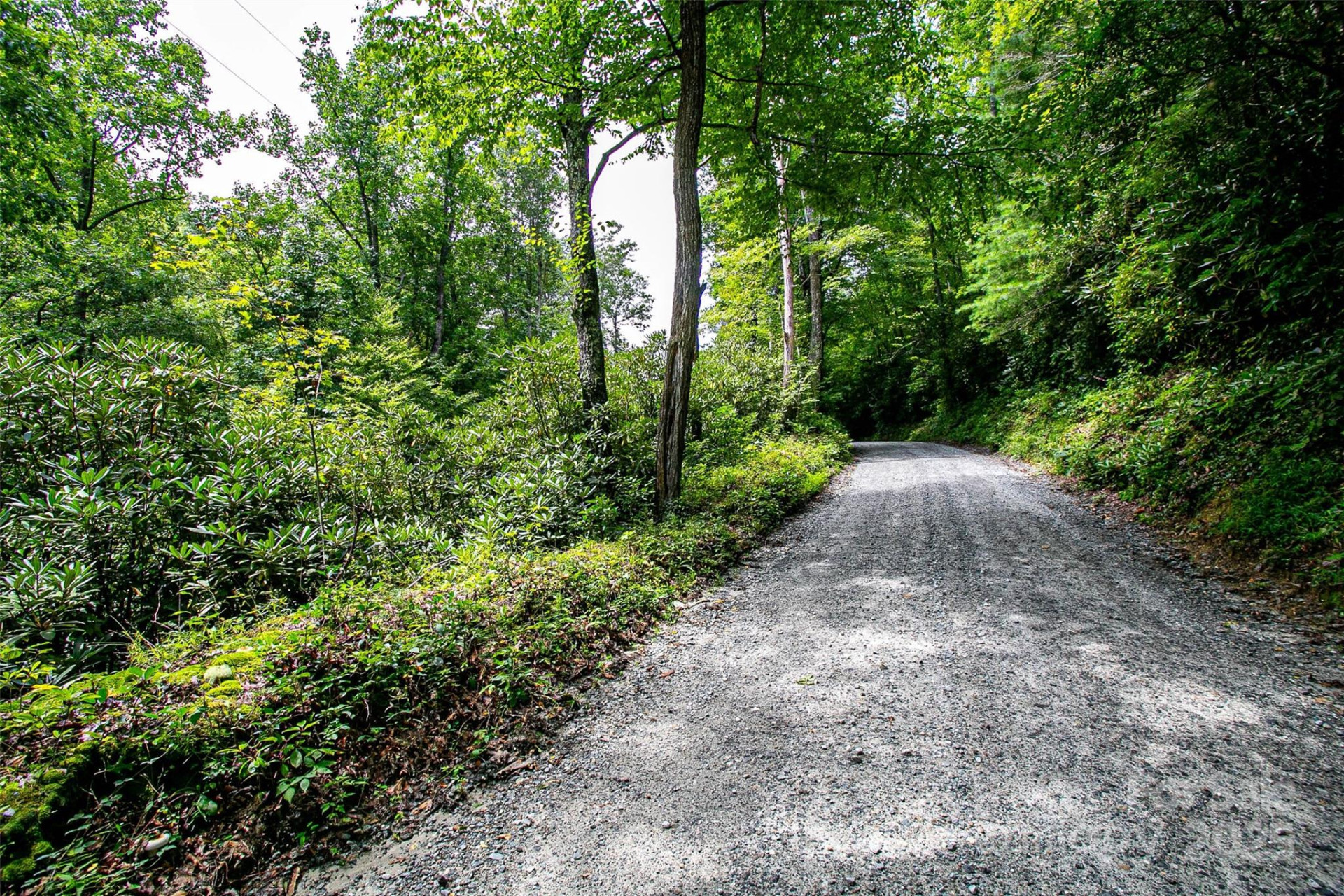 0000 Happy Acres Road - Photo 4