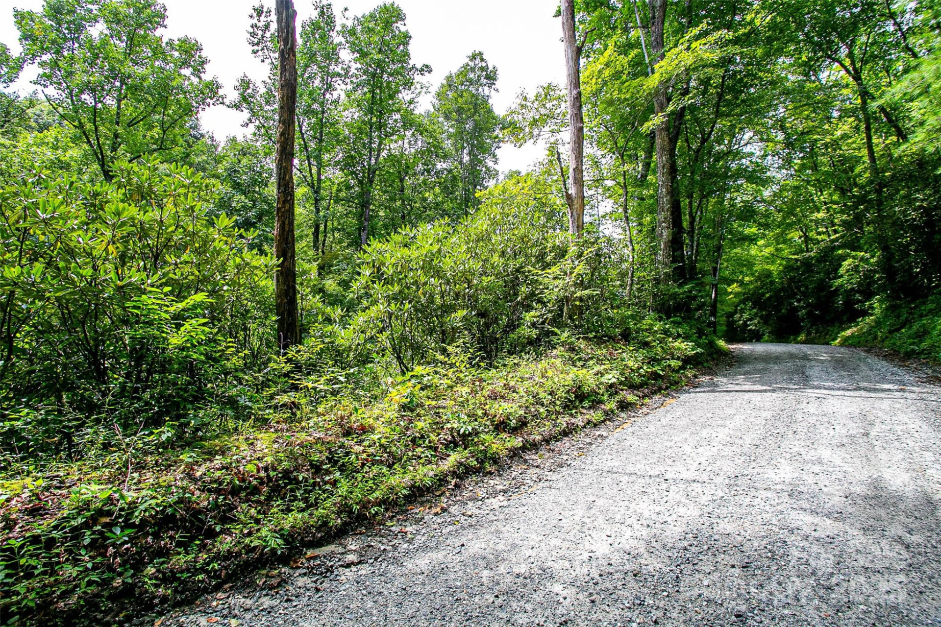 0000 Happy Acres Road - Photo 5