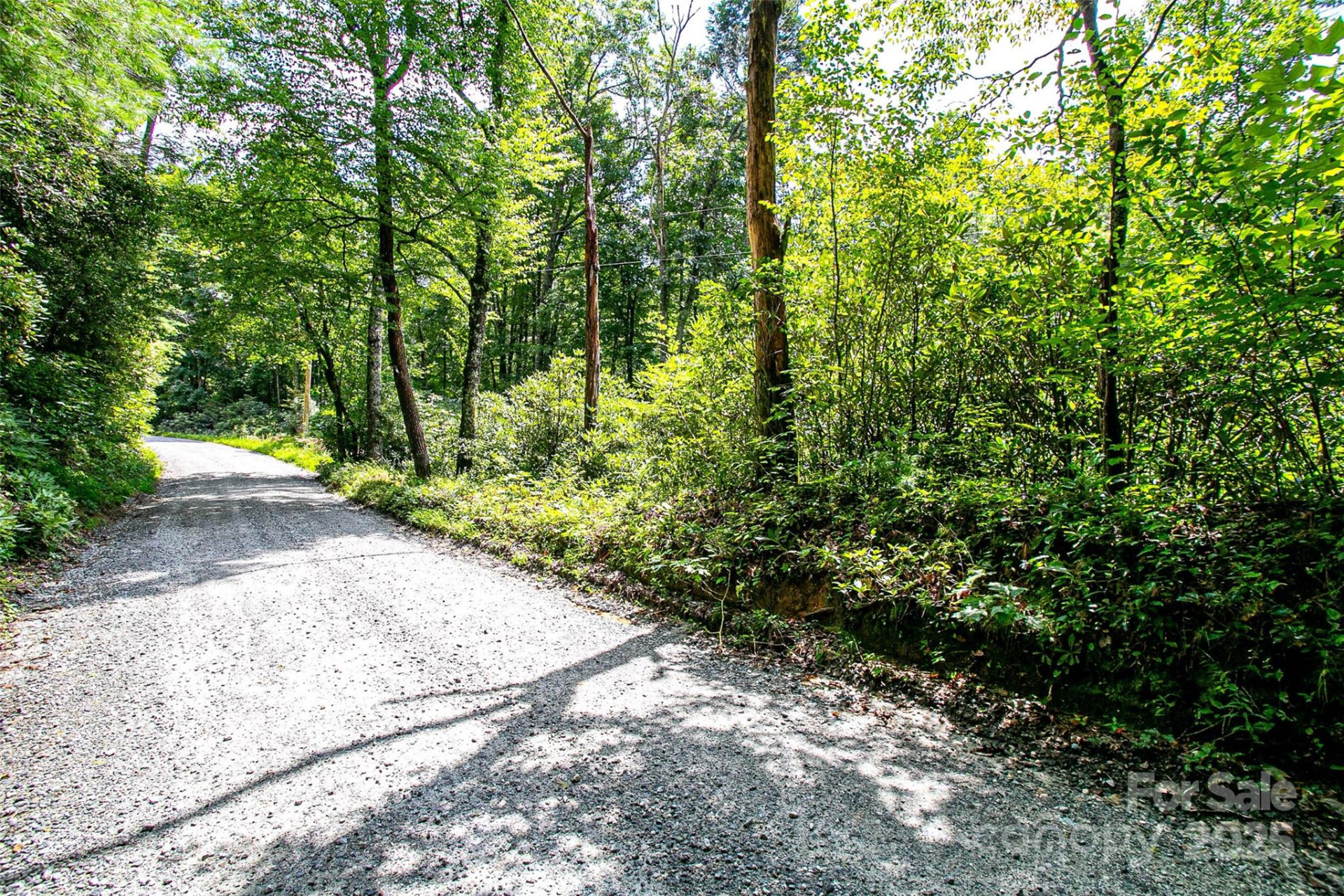 0000 Happy Acres Road - Photo 8