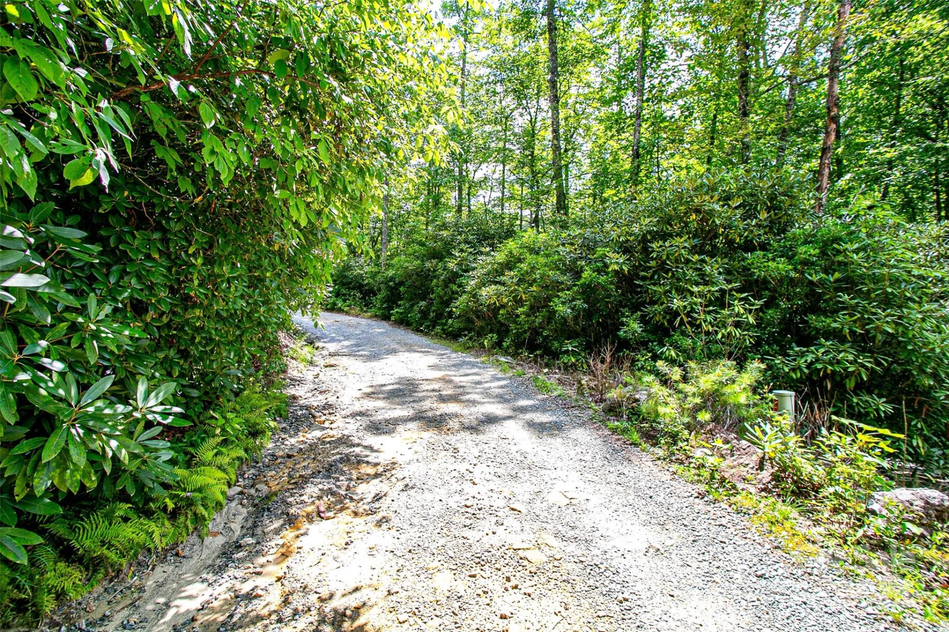 0000 Happy Acres Road - Photo 10