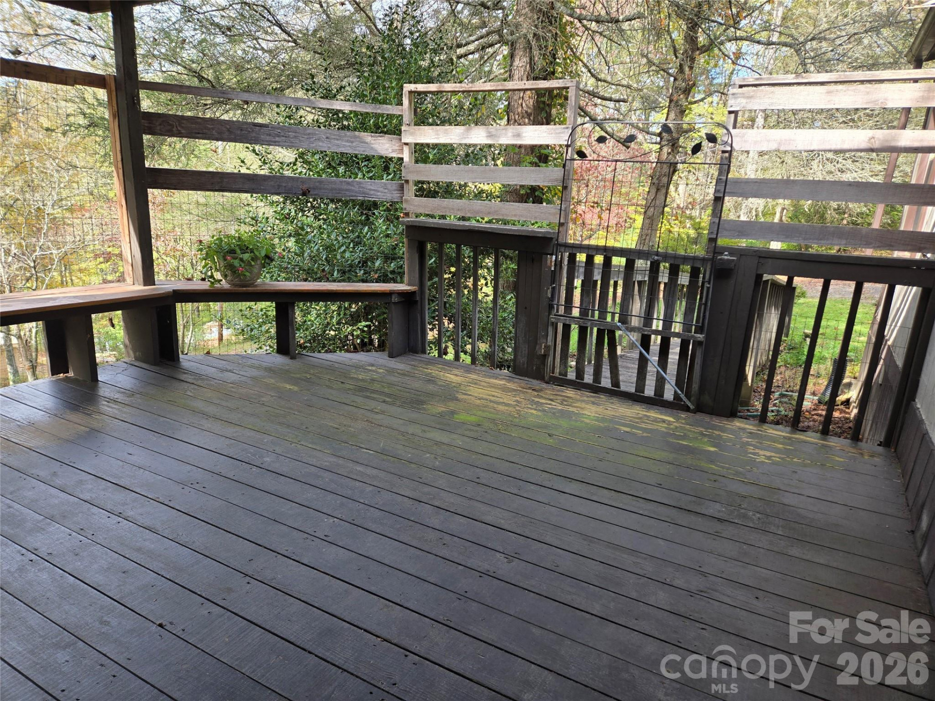 102 Serenity Lane - Photo 6