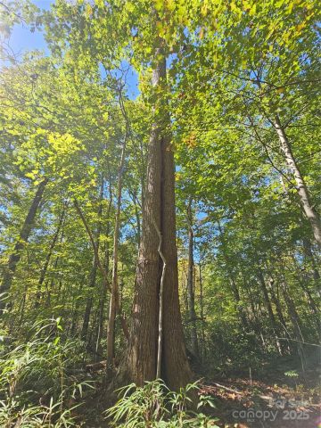 TBD Lackey town Road, Old Fort, NC, 28762