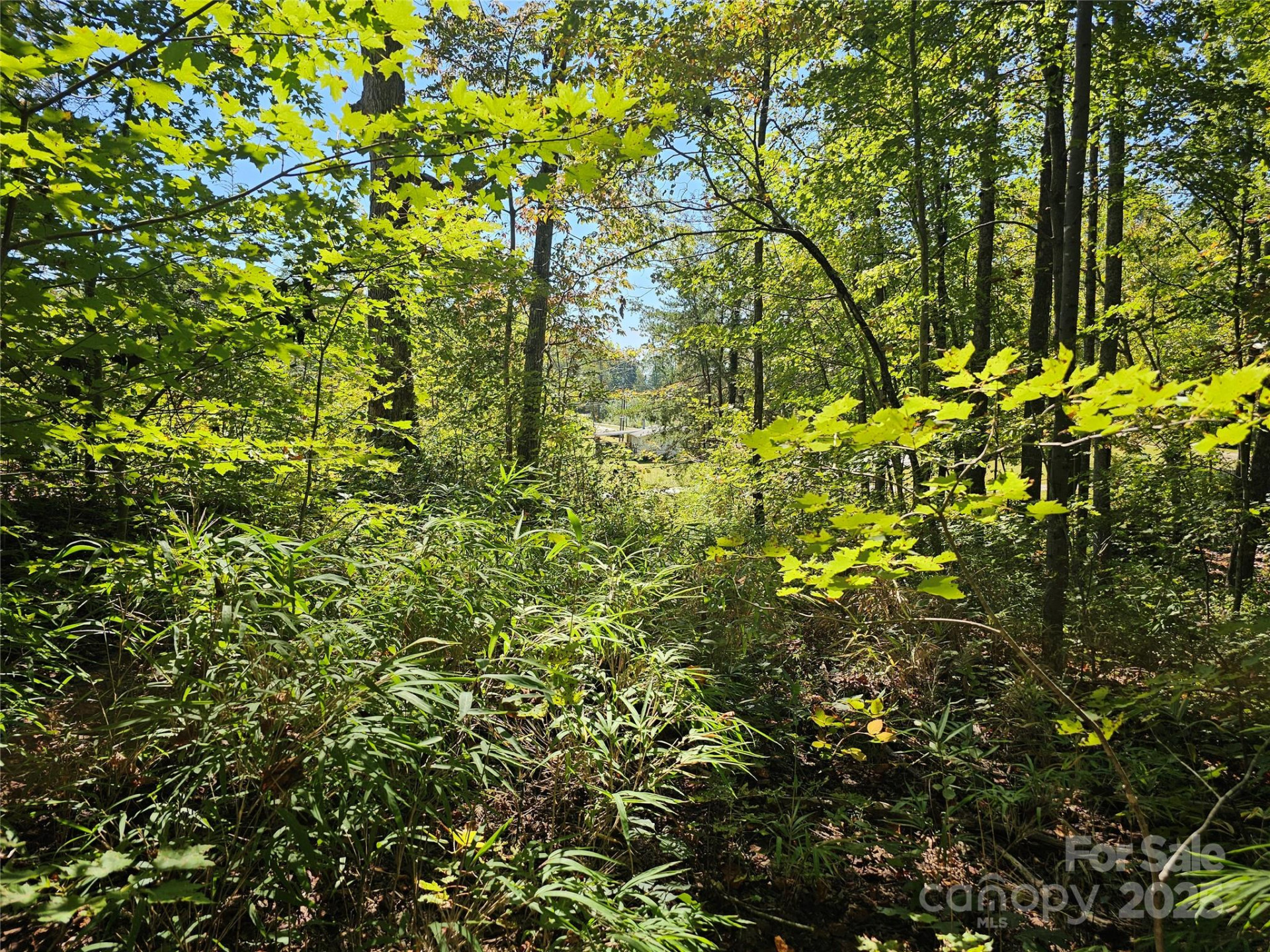 TBD Lackey town Road - Photo 2