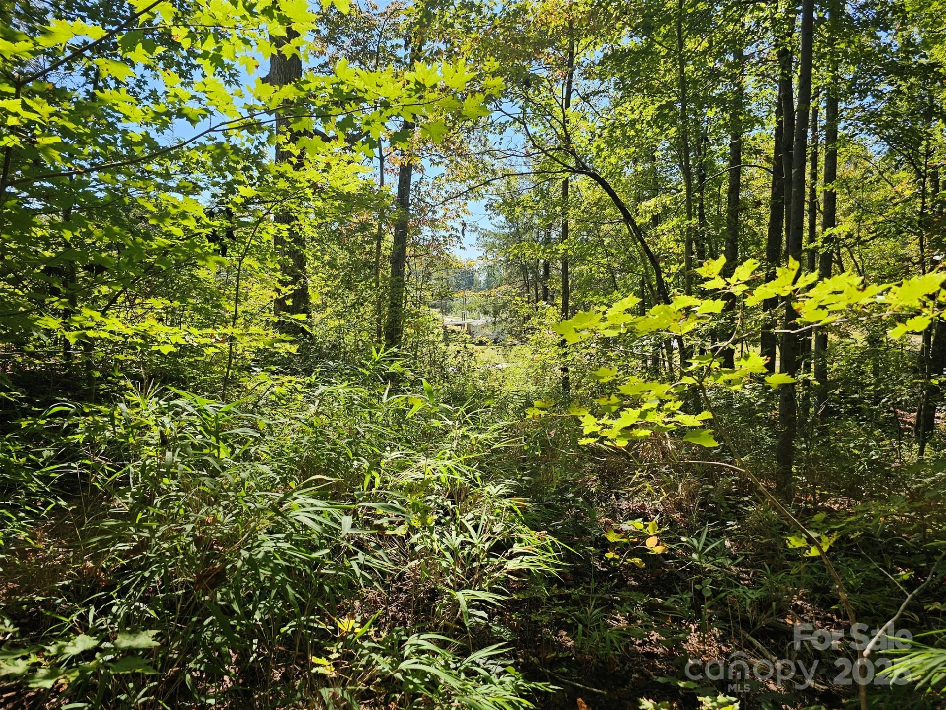 TBD Lackey town Road - Photo 2