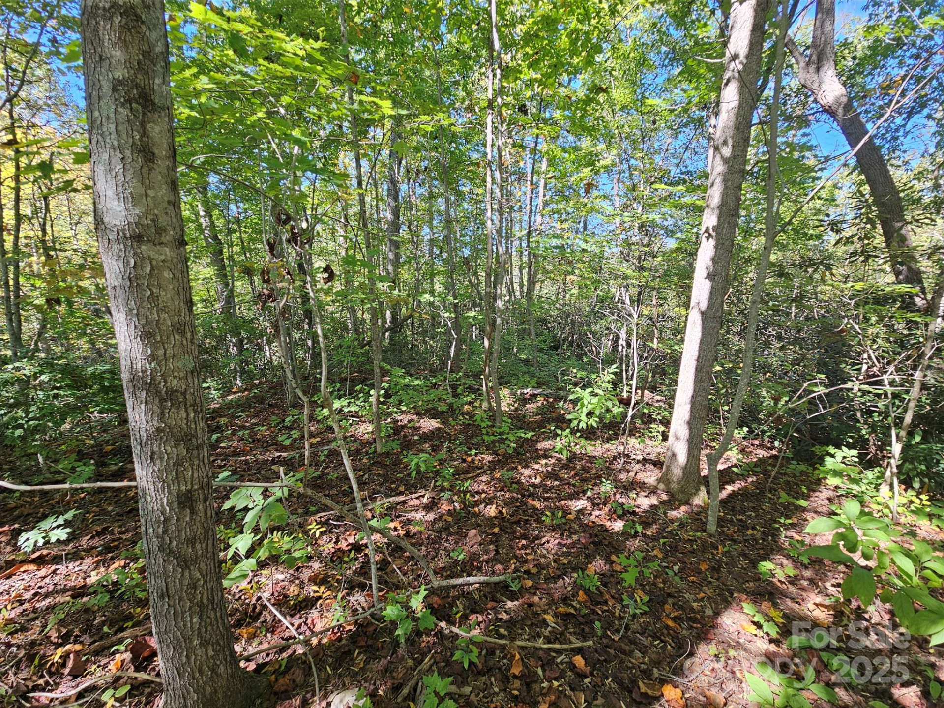 TBD Lackey town Road - Photo 3