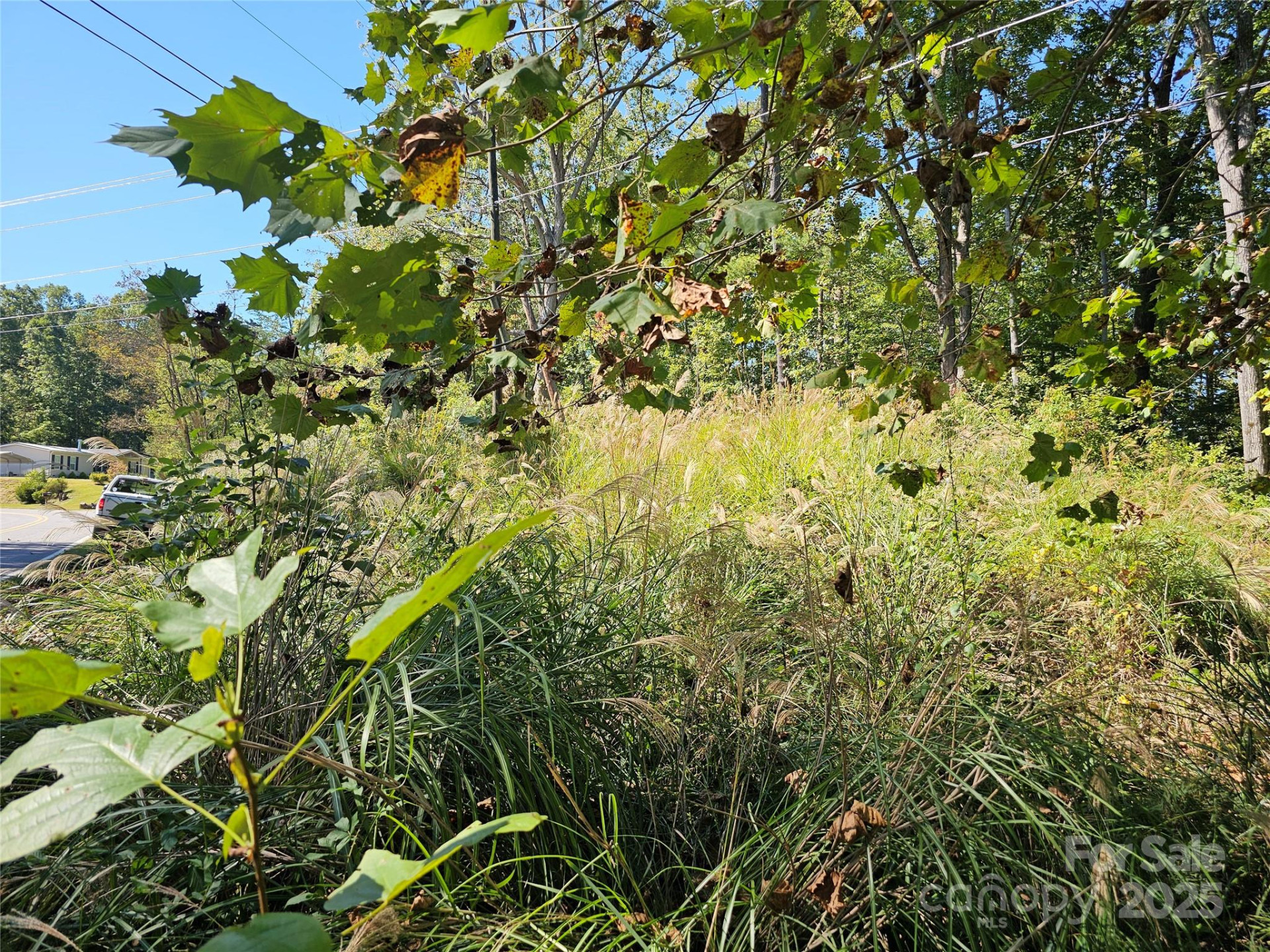 TBD Lackey town Road - Photo 4