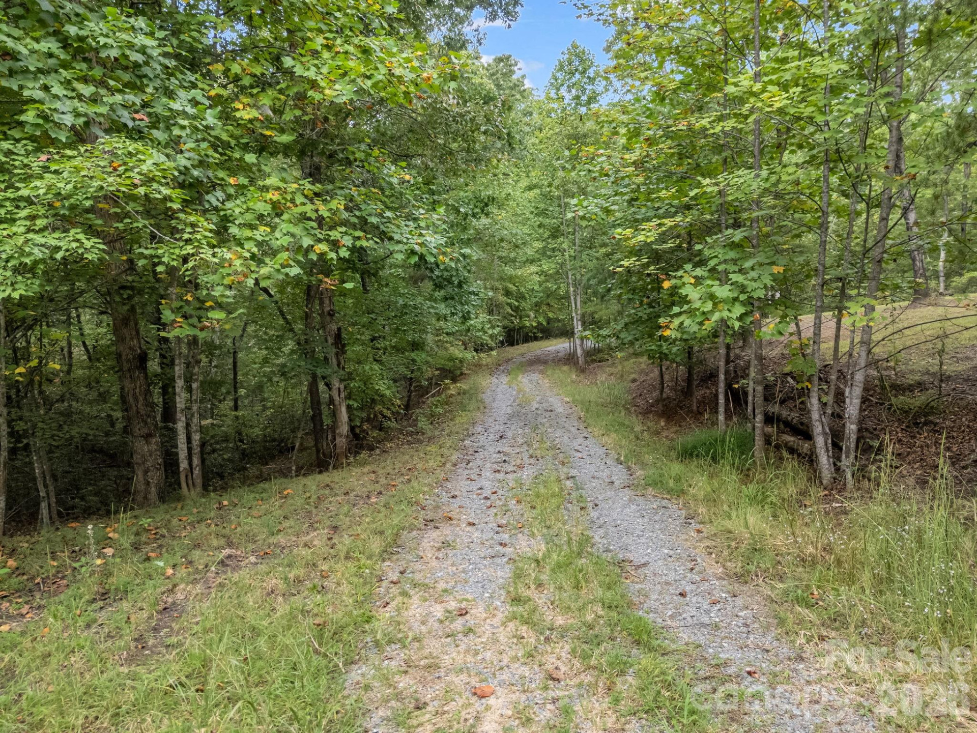 TBD Highland Farms Road #6 - Photo 11