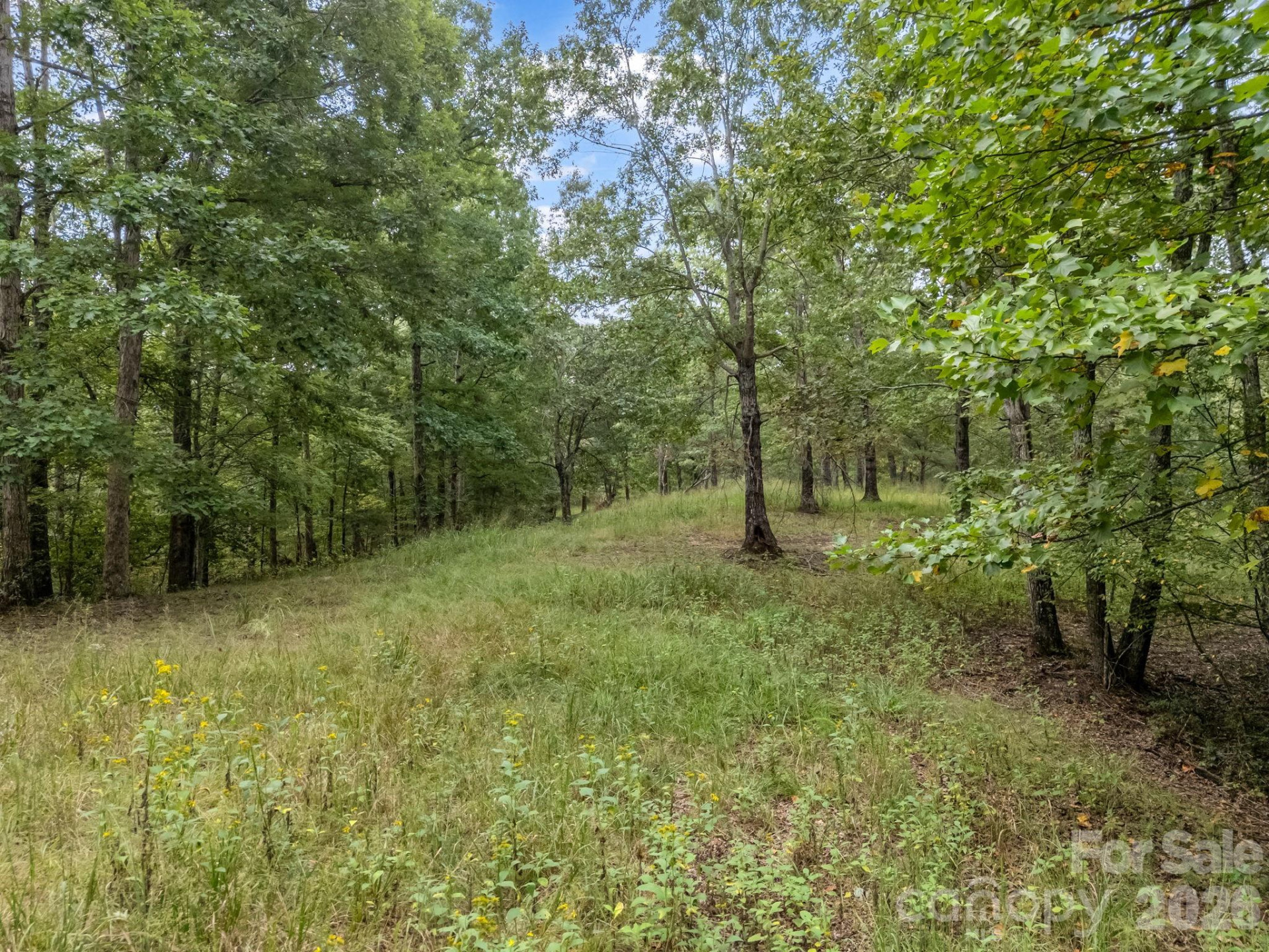 TBD Highland Farms Road #6 - Photo 13