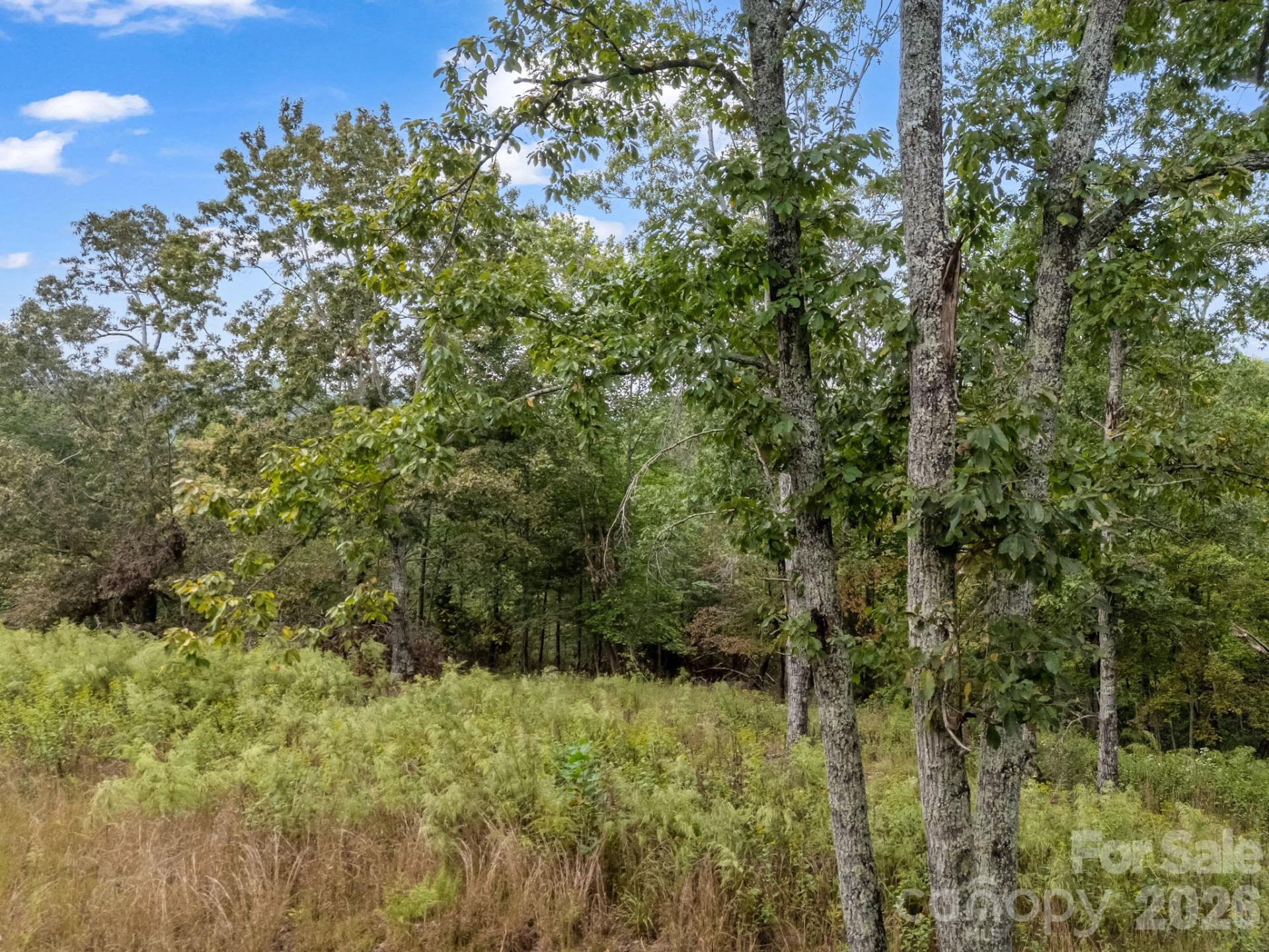 TBD Highland Farms Road #6 - Photo 14