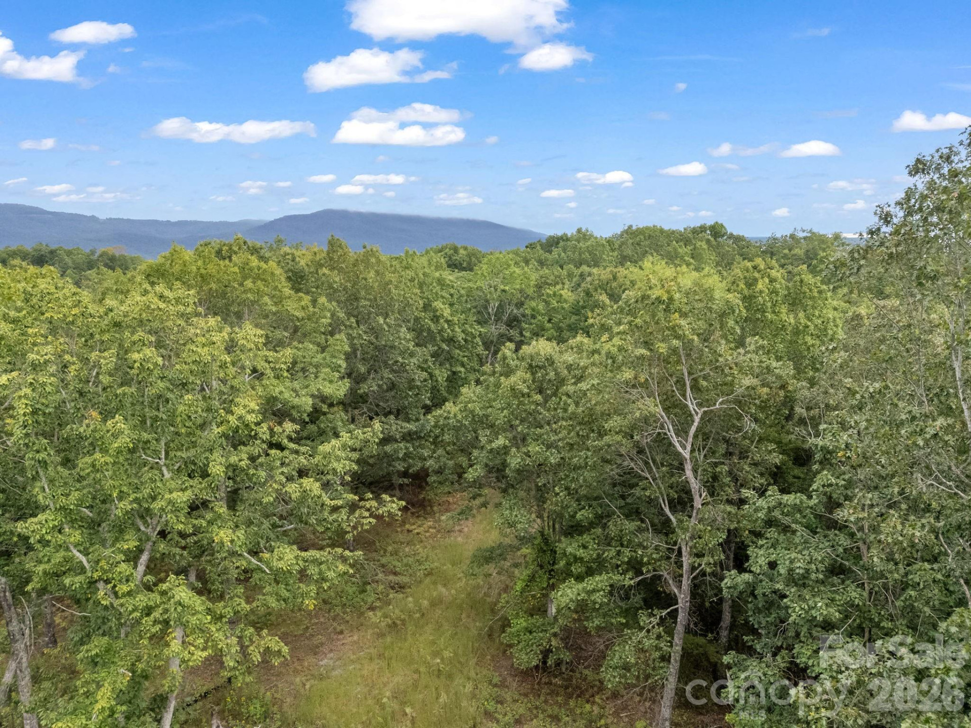 TBD Highland Farms Road #6 - Photo 15